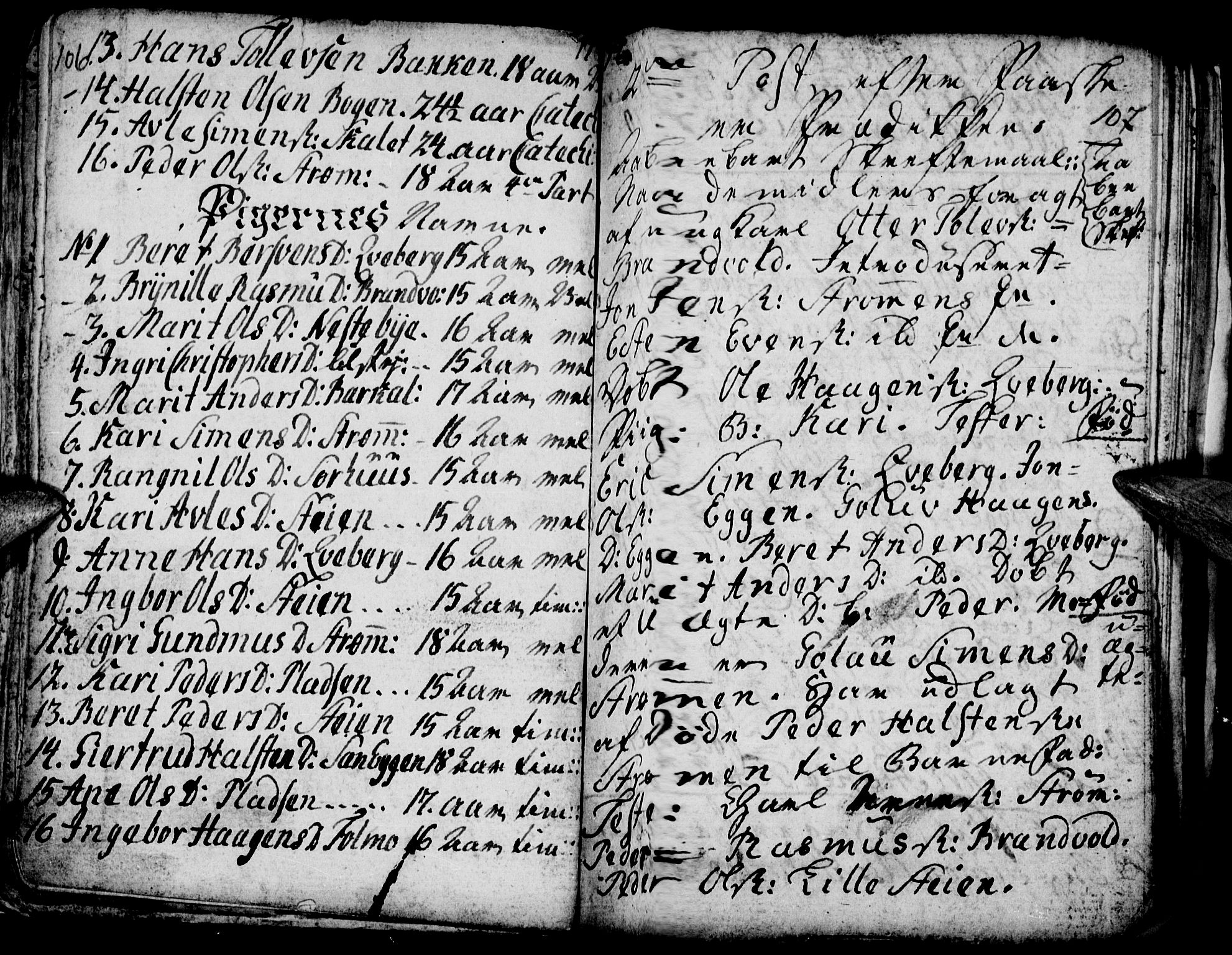 Tynset prestekontor, SAH/PREST-058/H/Ha/Hab/L0009: Parish register (official) no. 9, 1769-1781, p. 106-107