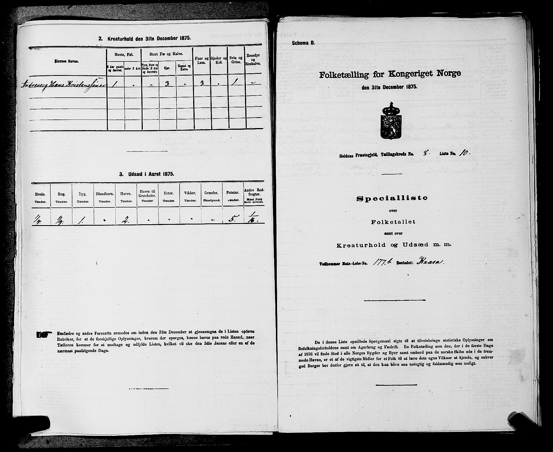 SAKO, 1875 census for 0819P Holla, 1875, p. 981