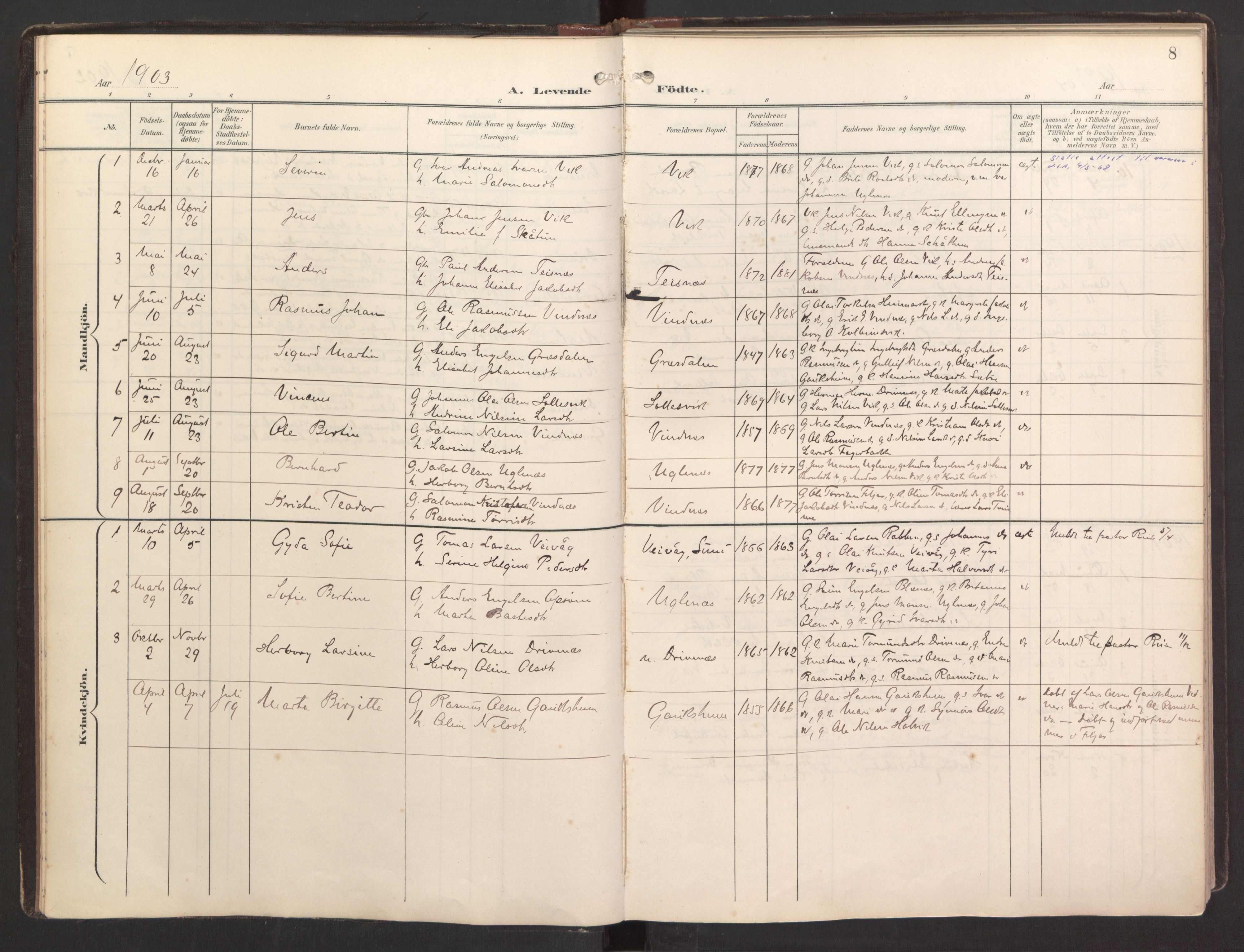 Fitjar sokneprestembete, SAB/A-99926: Parish register (official) no. B 1, 1900-1926, p. 8