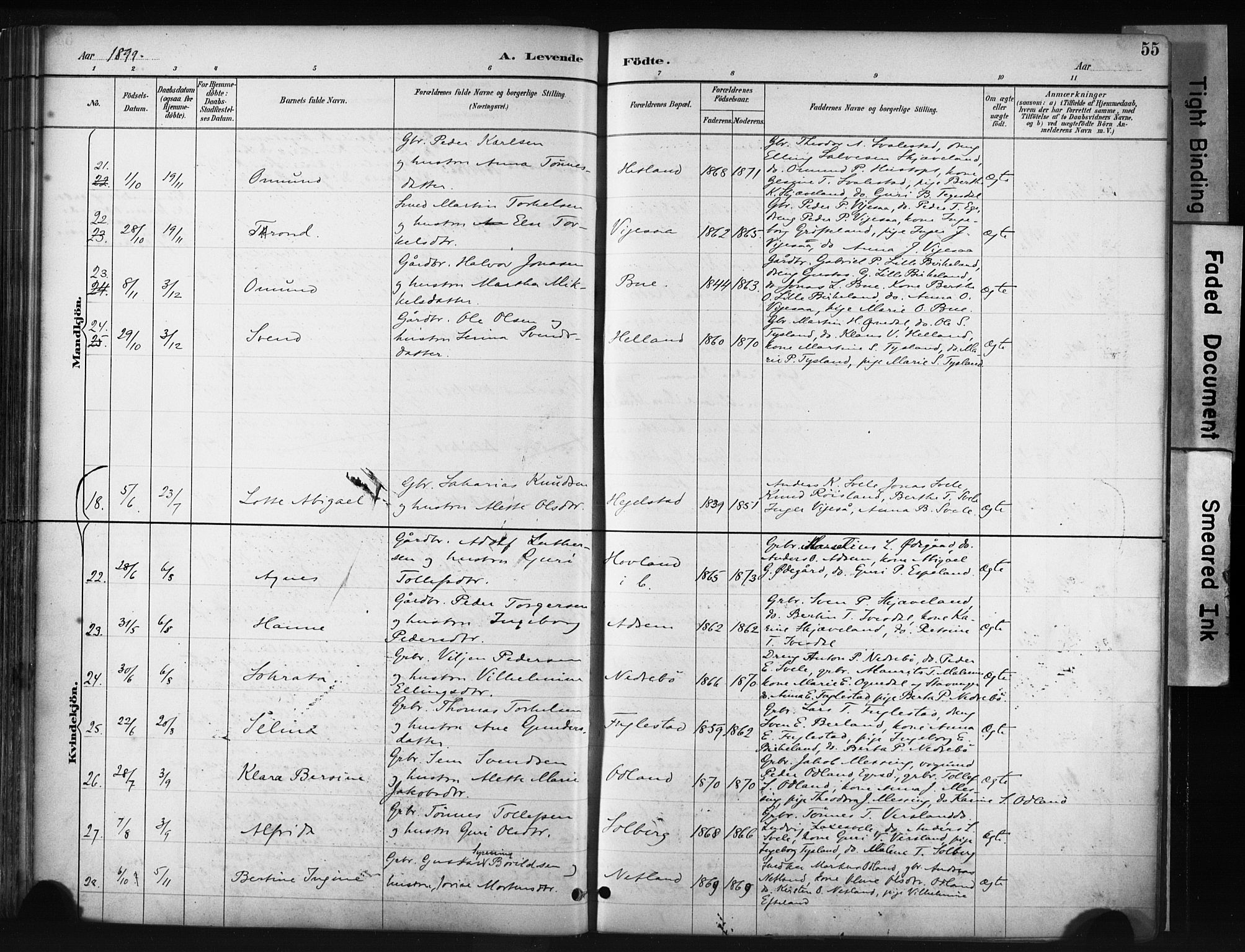 Helleland sokneprestkontor, AV/SAST-A-101810: Parish register (official) no. A 9, 1887-1908, p. 55