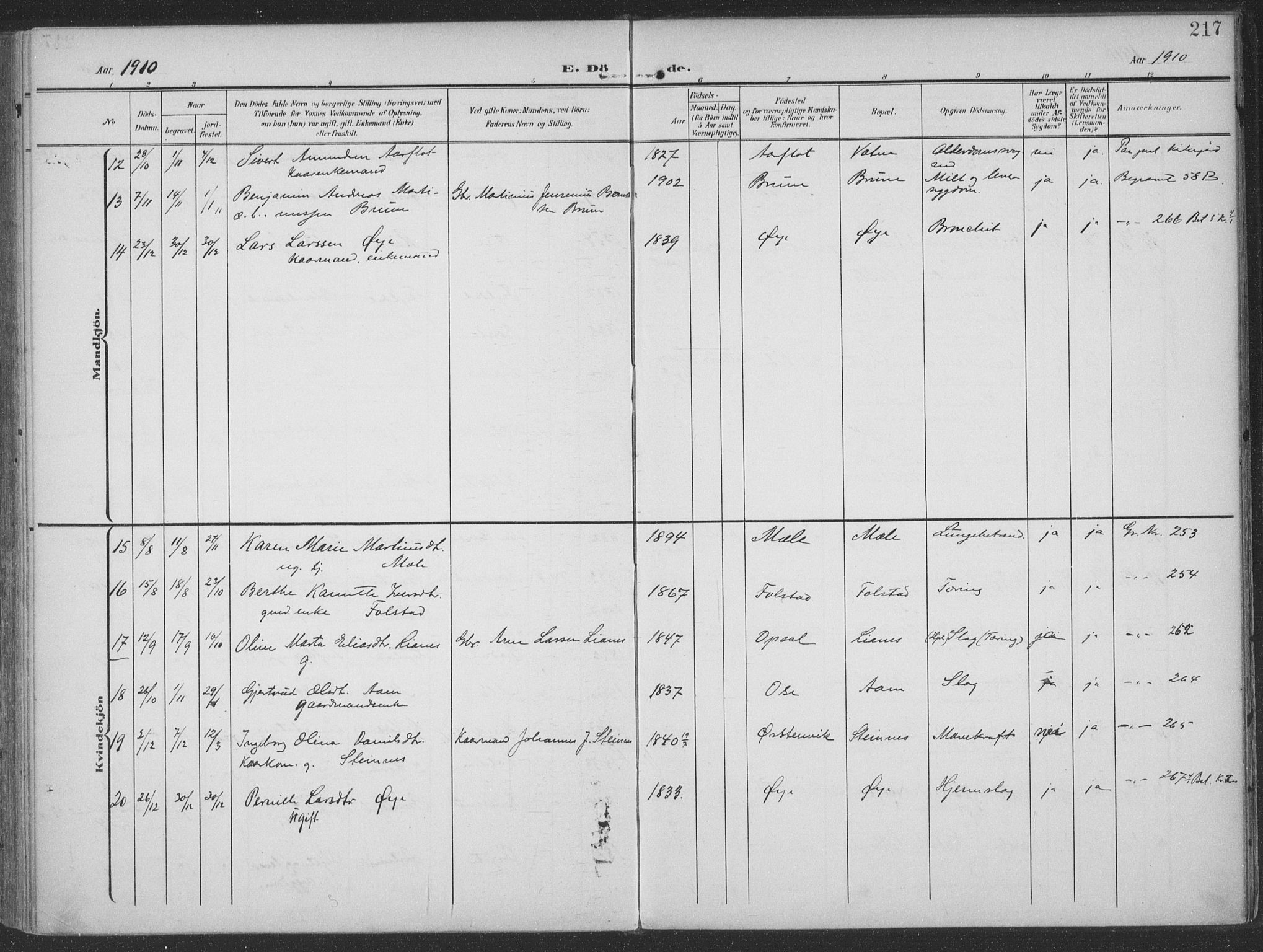 Ministerialprotokoller, klokkerbøker og fødselsregistre - Møre og Romsdal, SAT/A-1454/513/L0178: Parish register (official) no. 513A05, 1906-1919, p. 217