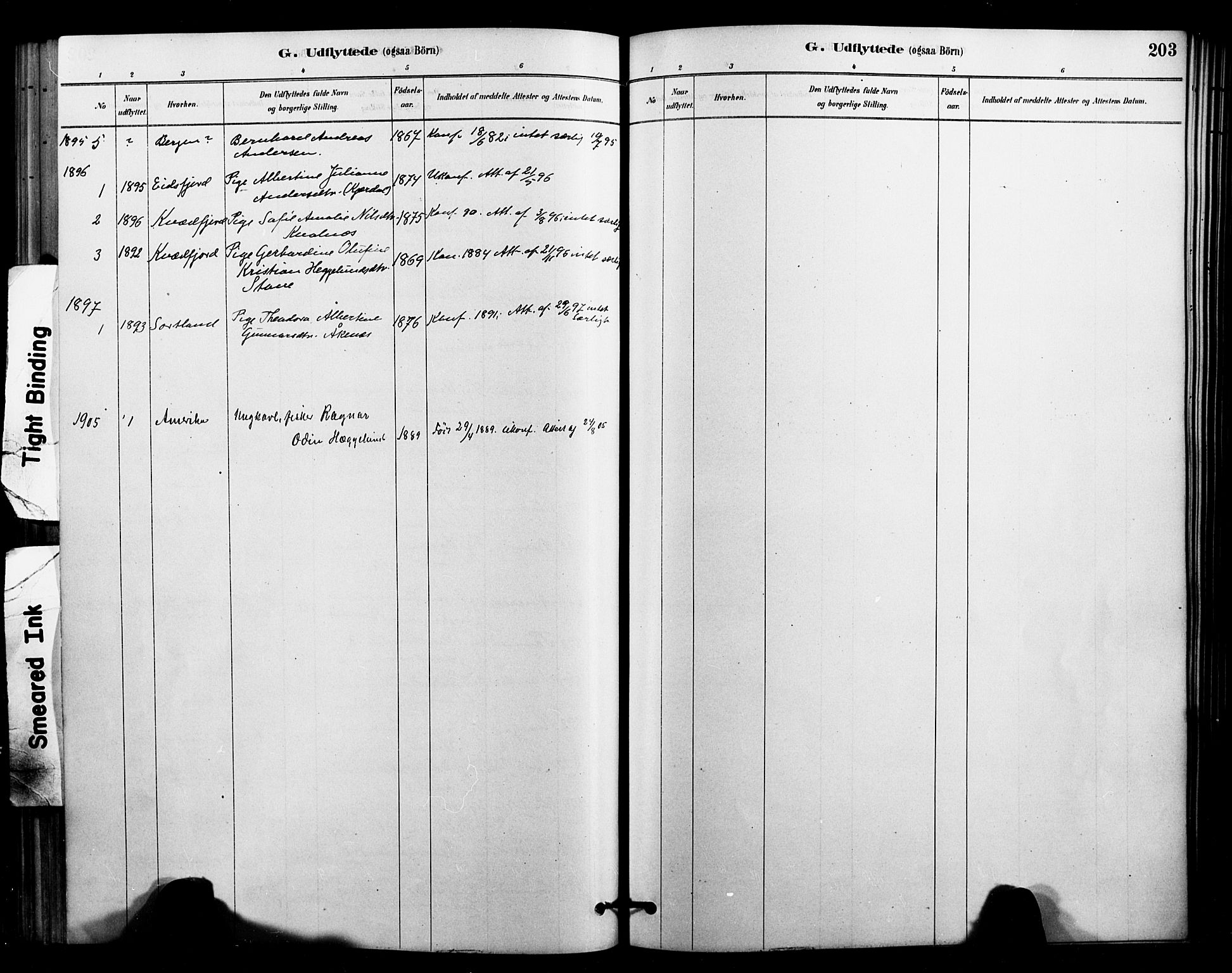 Ministerialprotokoller, klokkerbøker og fødselsregistre - Nordland, AV/SAT-A-1459/897/L1399: Parish register (official) no. 897C06, 1881-1896, p. 203