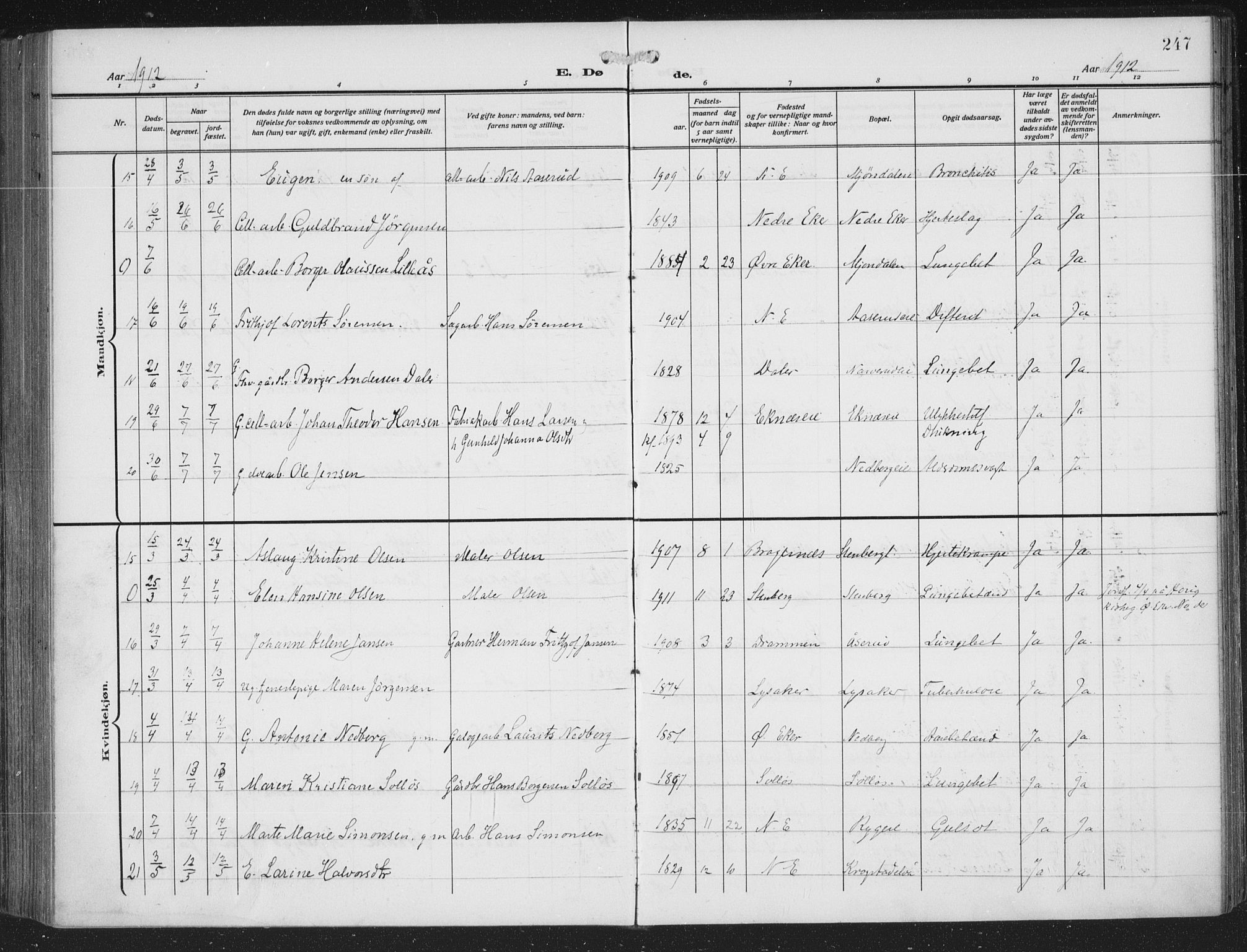 Nedre Eiker kirkebøker, AV/SAKO-A-612/F/Fa/L0007: Parish register (official) no. 7, 1912-1918, p. 247