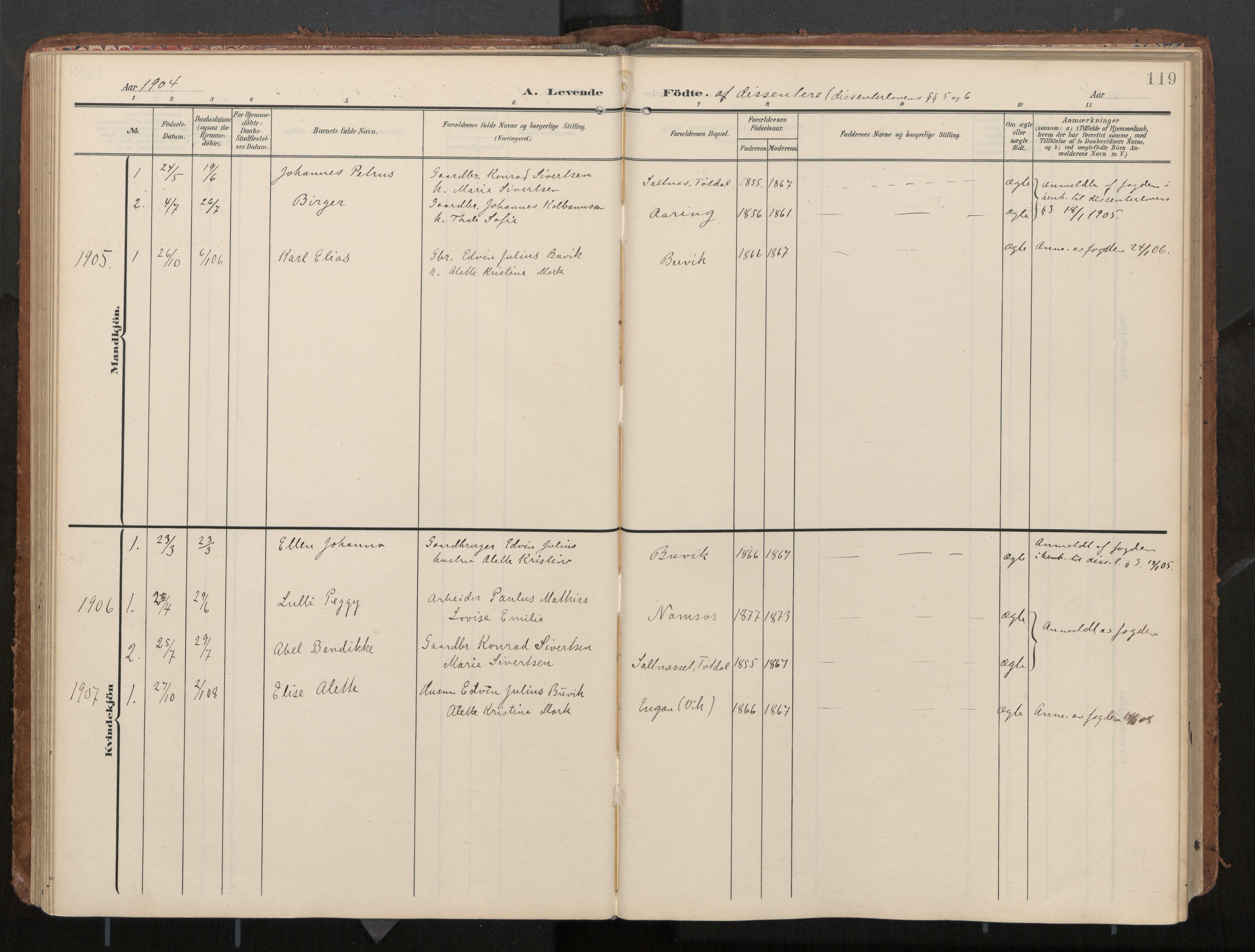 Ministerialprotokoller, klokkerbøker og fødselsregistre - Nord-Trøndelag, SAT/A-1458/774/L0629: Parish register (official), 1904-1926, p. 119