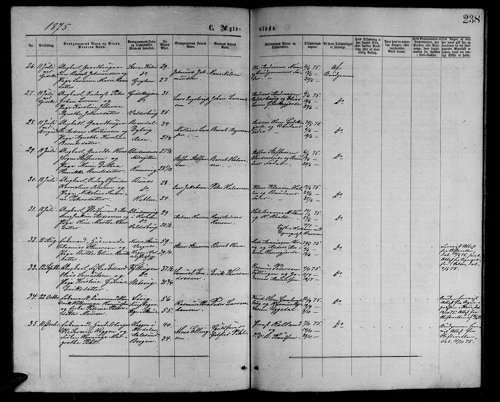 Ministerialprotokoller, klokkerbøker og fødselsregistre - Møre og Romsdal, AV/SAT-A-1454/528/L0428: Parish register (copy) no. 528C09, 1864-1880, p. 238