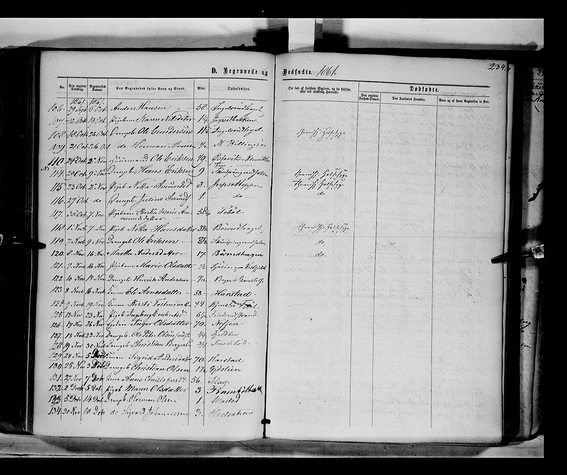 Eidskog prestekontor, AV/SAH-PREST-026/H/Ha/Haa/L0001: Parish register (official) no. 1, 1860-1867, p. 234