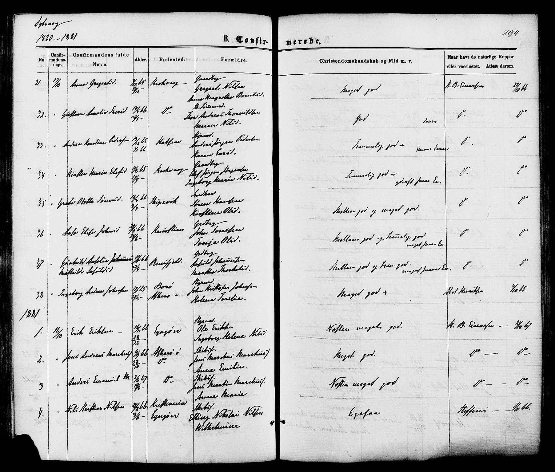Dypvåg sokneprestkontor, SAK/1111-0007/F/Fa/Faa/L0007: Parish register (official) no. A 7/ 1, 1872-1884, p. 294
