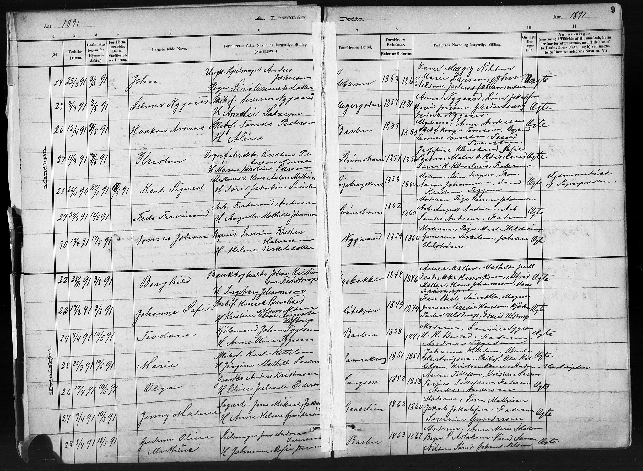 Barbu sokneprestkontor, AV/SAK-1111-0003/F/Fb/L0002: Parish register (copy) no. B 2, 1890-1922, p. 9