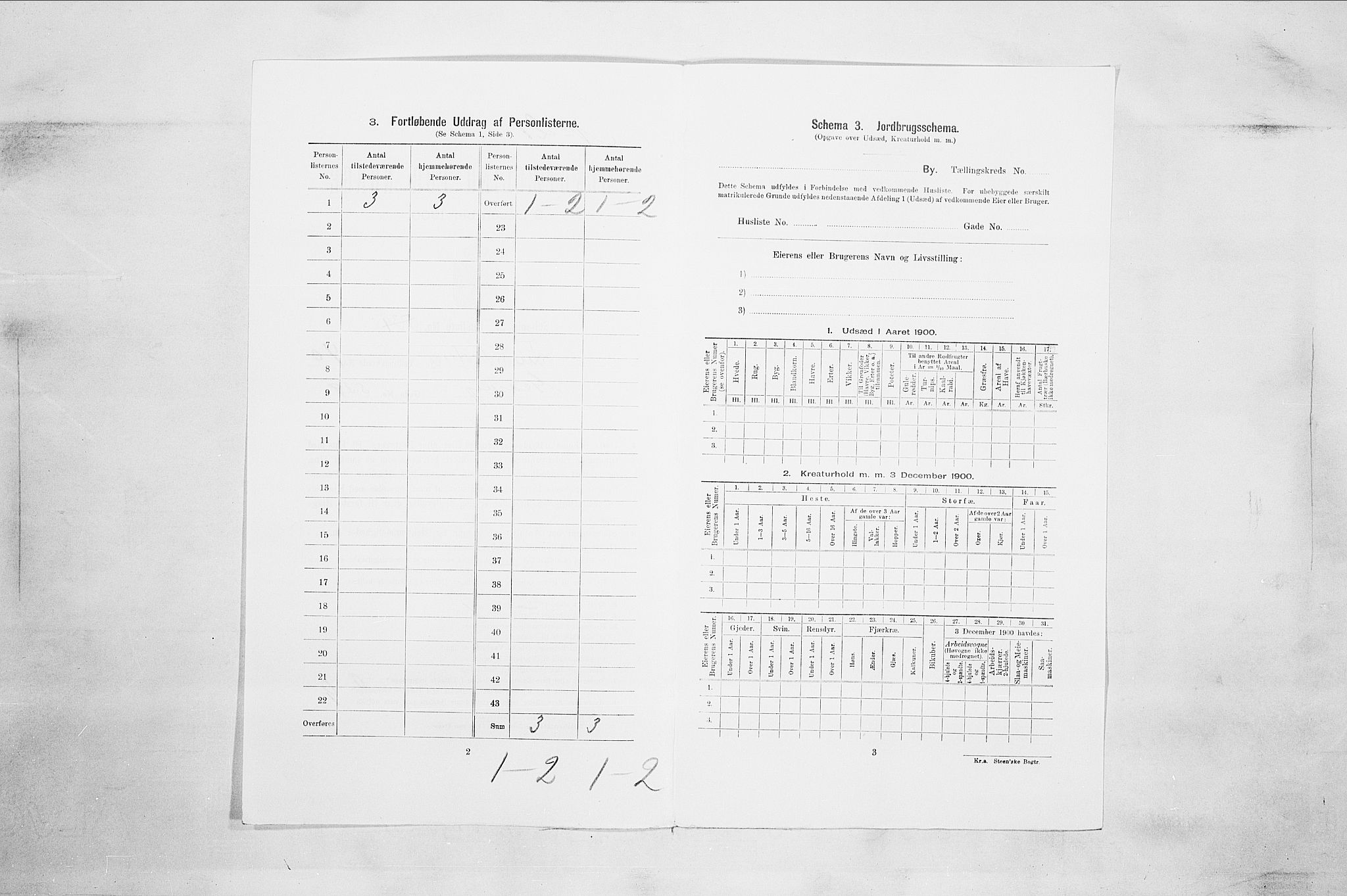 SAO, 1900 census for Fredrikstad, 1900