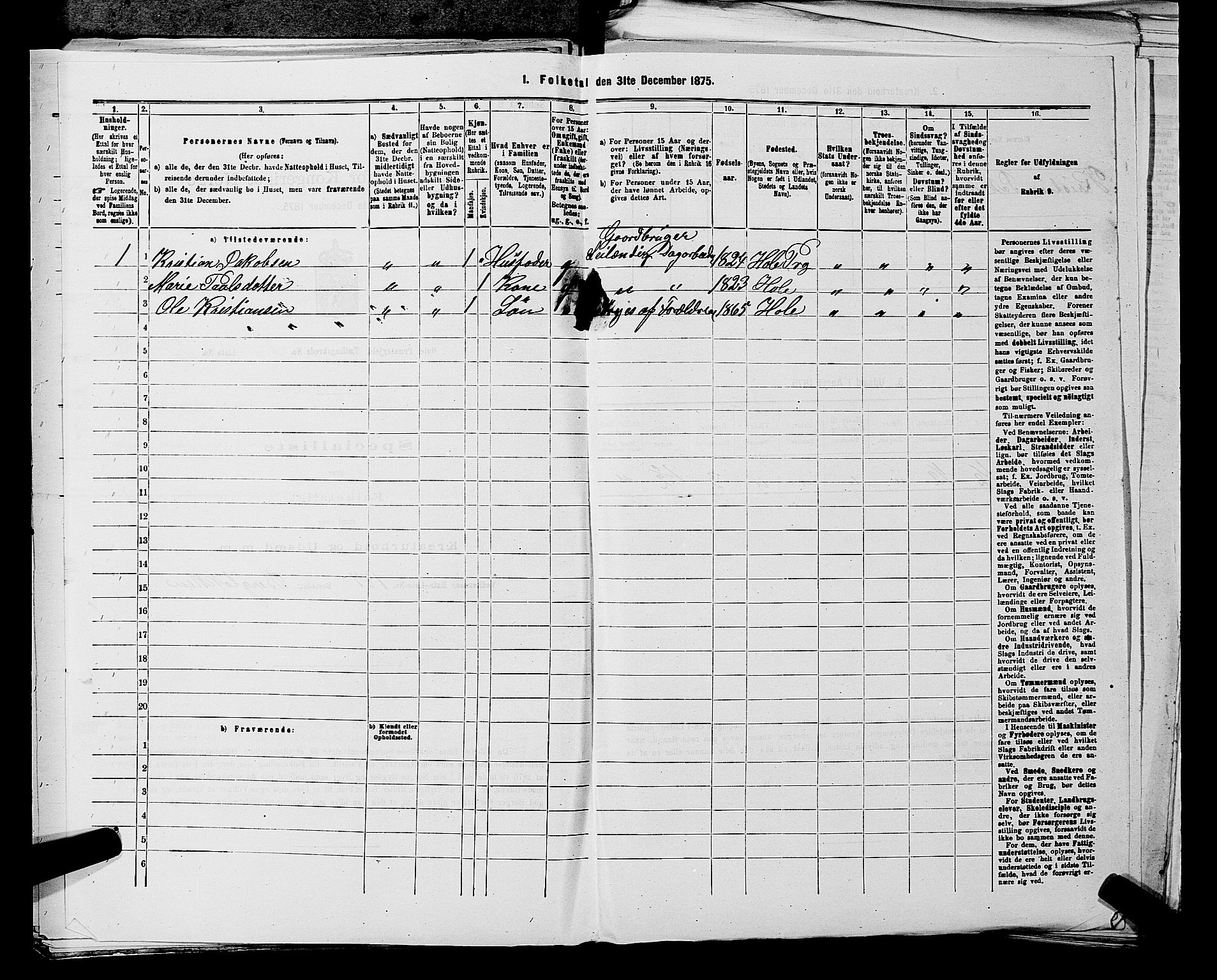 SAKO, 1875 census for 0612P Hole, 1875, p. 446