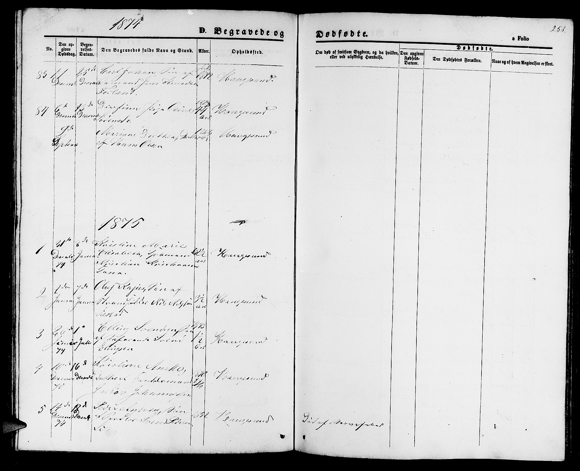 Haugesund sokneprestkontor, AV/SAST-A -101863/H/Ha/Hab/L0001: Parish register (copy) no. B 1, 1873-1881, p. 253