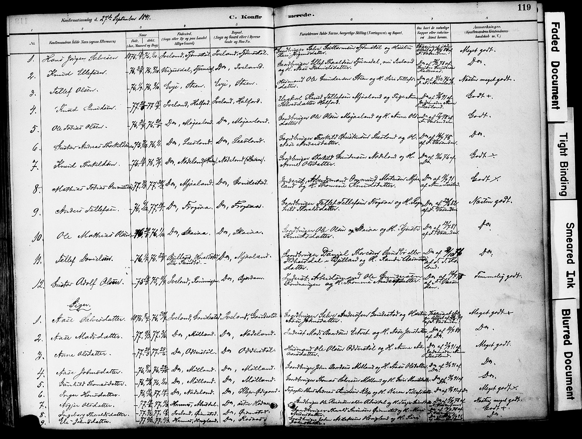 Evje sokneprestkontor, AV/SAK-1111-0008/F/Fa/Fac/L0003: Parish register (official) no. A 3, 1884-1909, p. 119