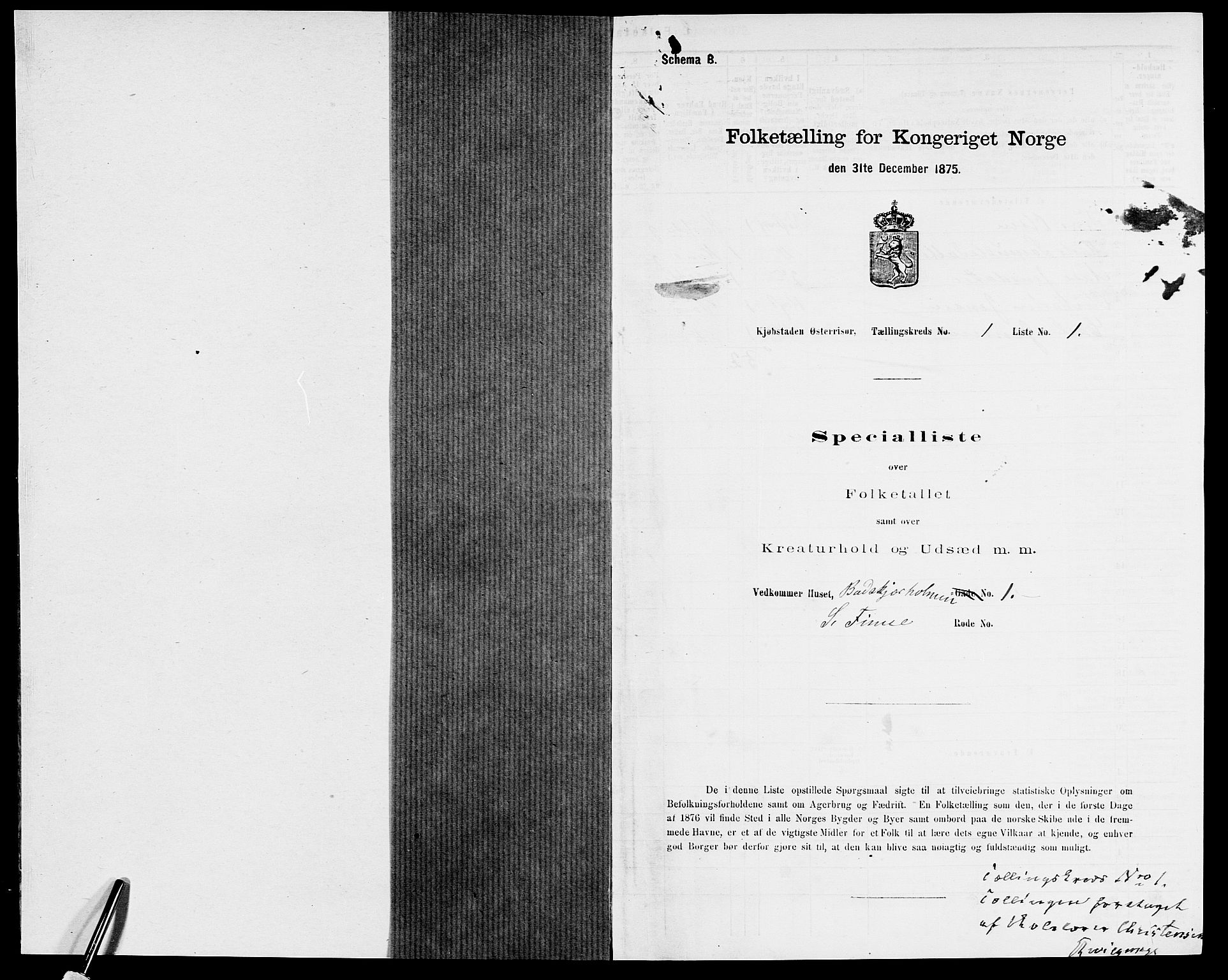 SAK, 1875 census for 0901B Risør/Risør, 1875, p. 10