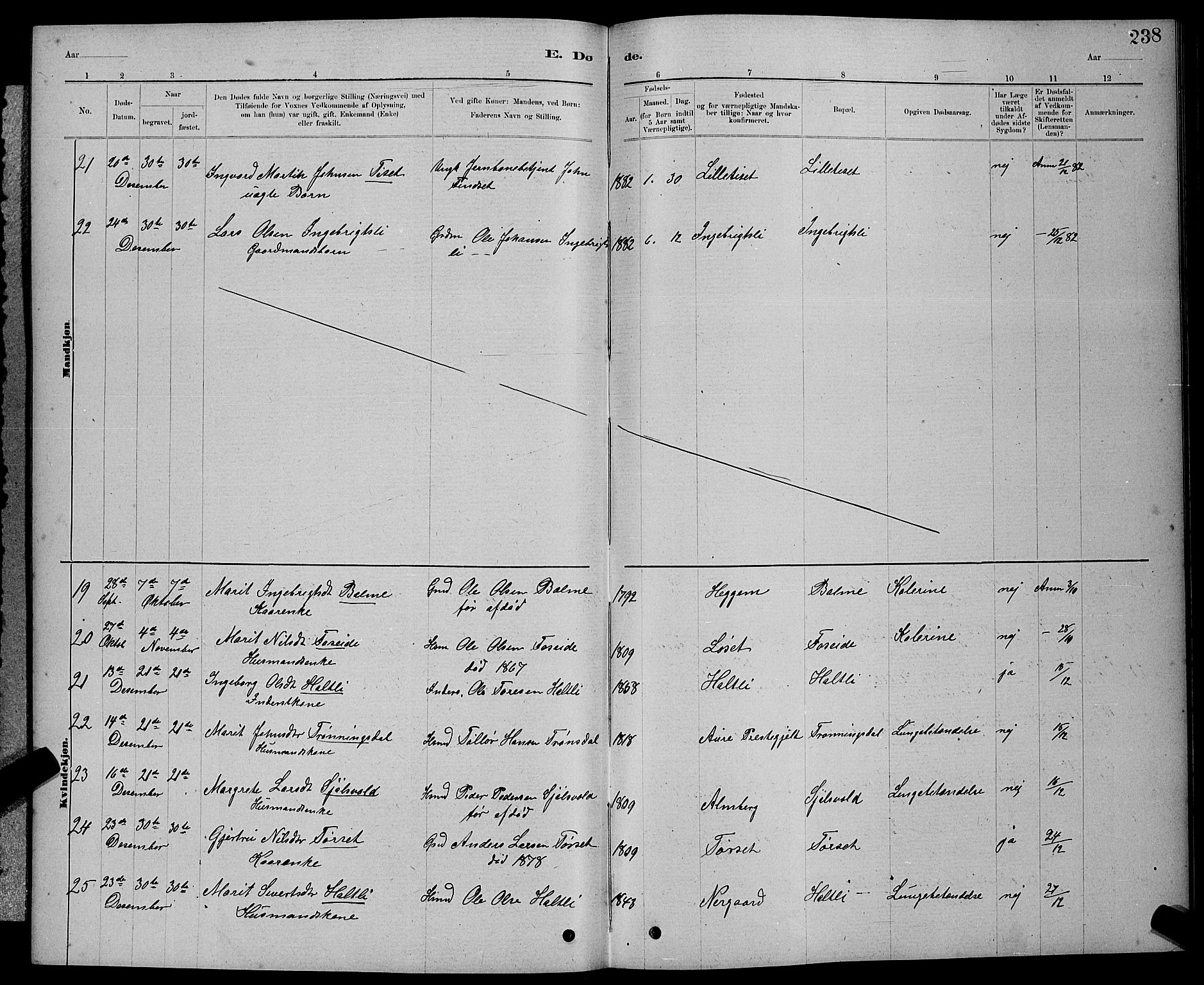 Ministerialprotokoller, klokkerbøker og fødselsregistre - Møre og Romsdal, AV/SAT-A-1454/598/L1077: Parish register (copy) no. 598C02, 1879-1891, p. 238