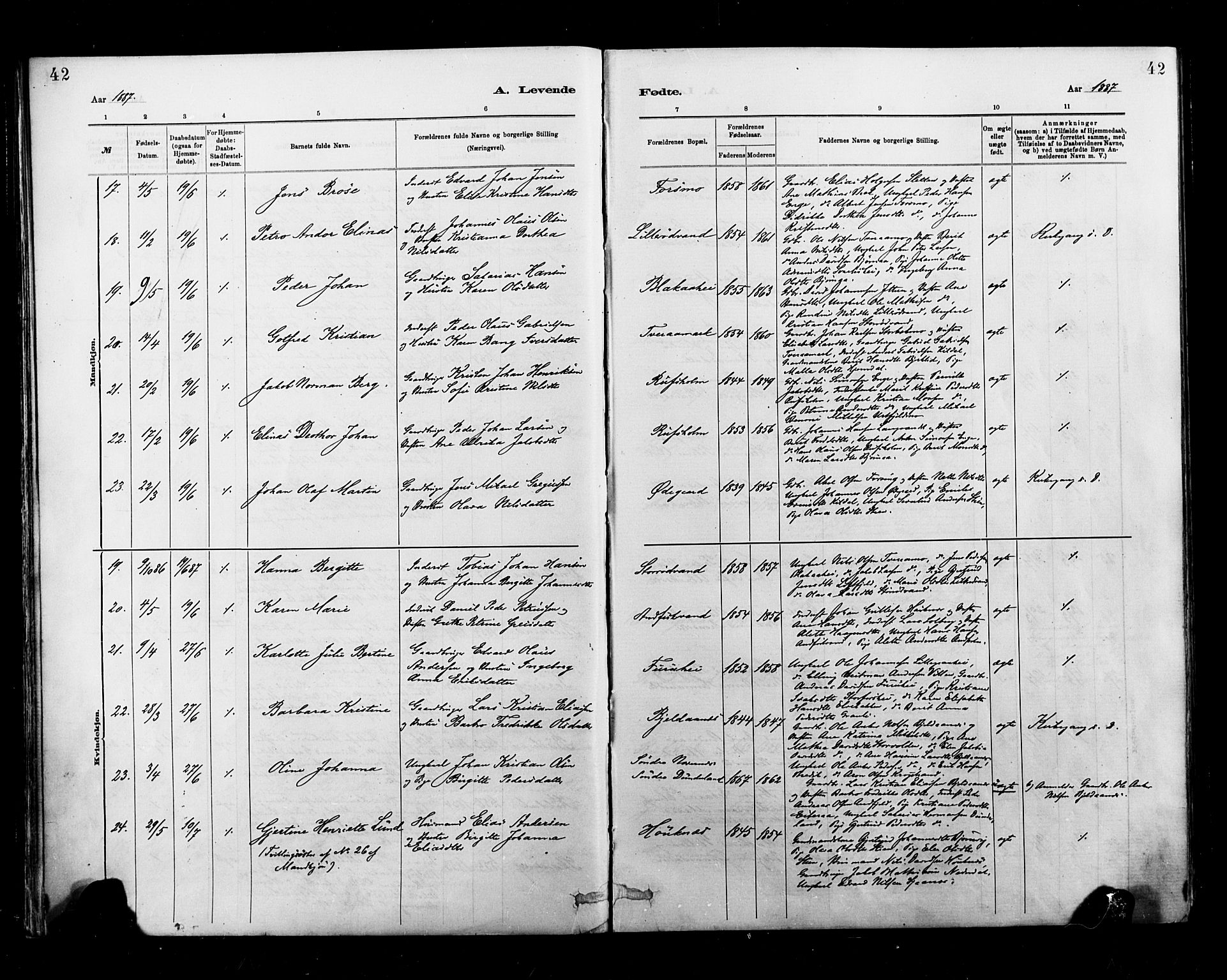 Ministerialprotokoller, klokkerbøker og fødselsregistre - Nordland, AV/SAT-A-1459/827/L0400: Parish register (official) no. 827A12, 1883-1903, p. 42