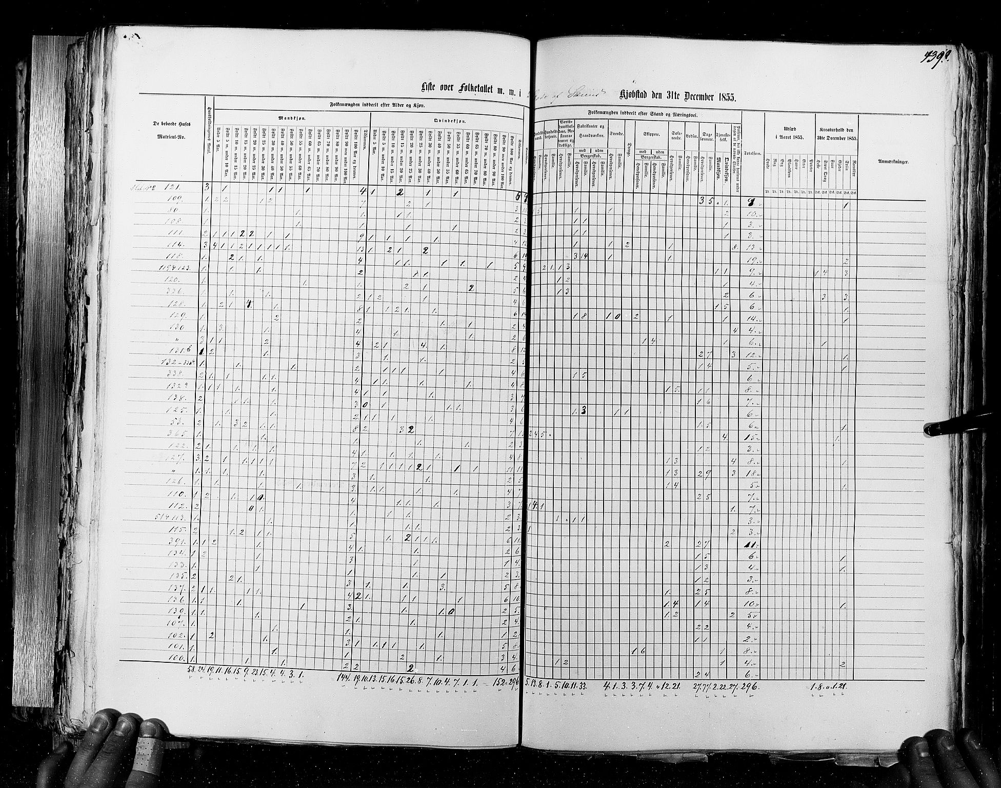 RA, Census 1855, vol. 7: Fredrikshald-Kragerø, 1855, p. 439