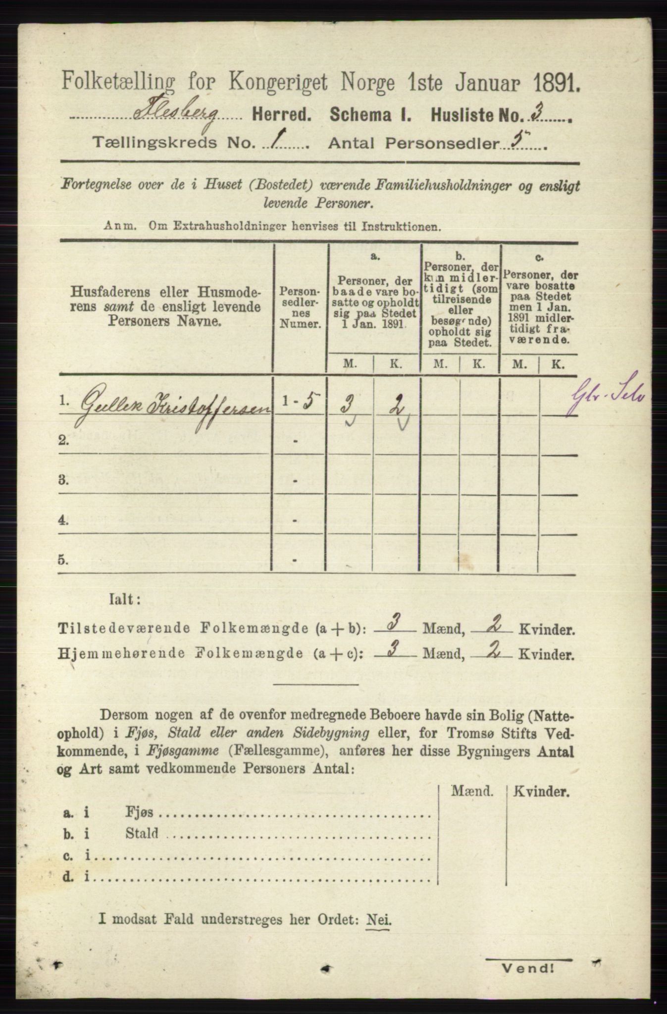 RA, 1891 census for 0631 Flesberg, 1891, p. 46