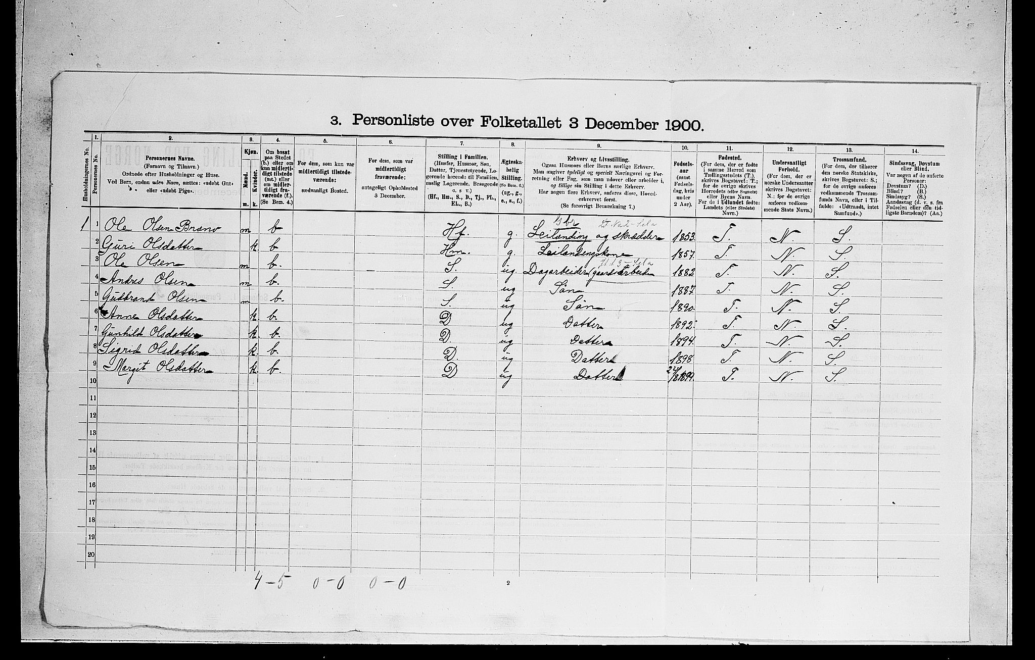 RA, 1900 census for Nes, 1900, p. 37