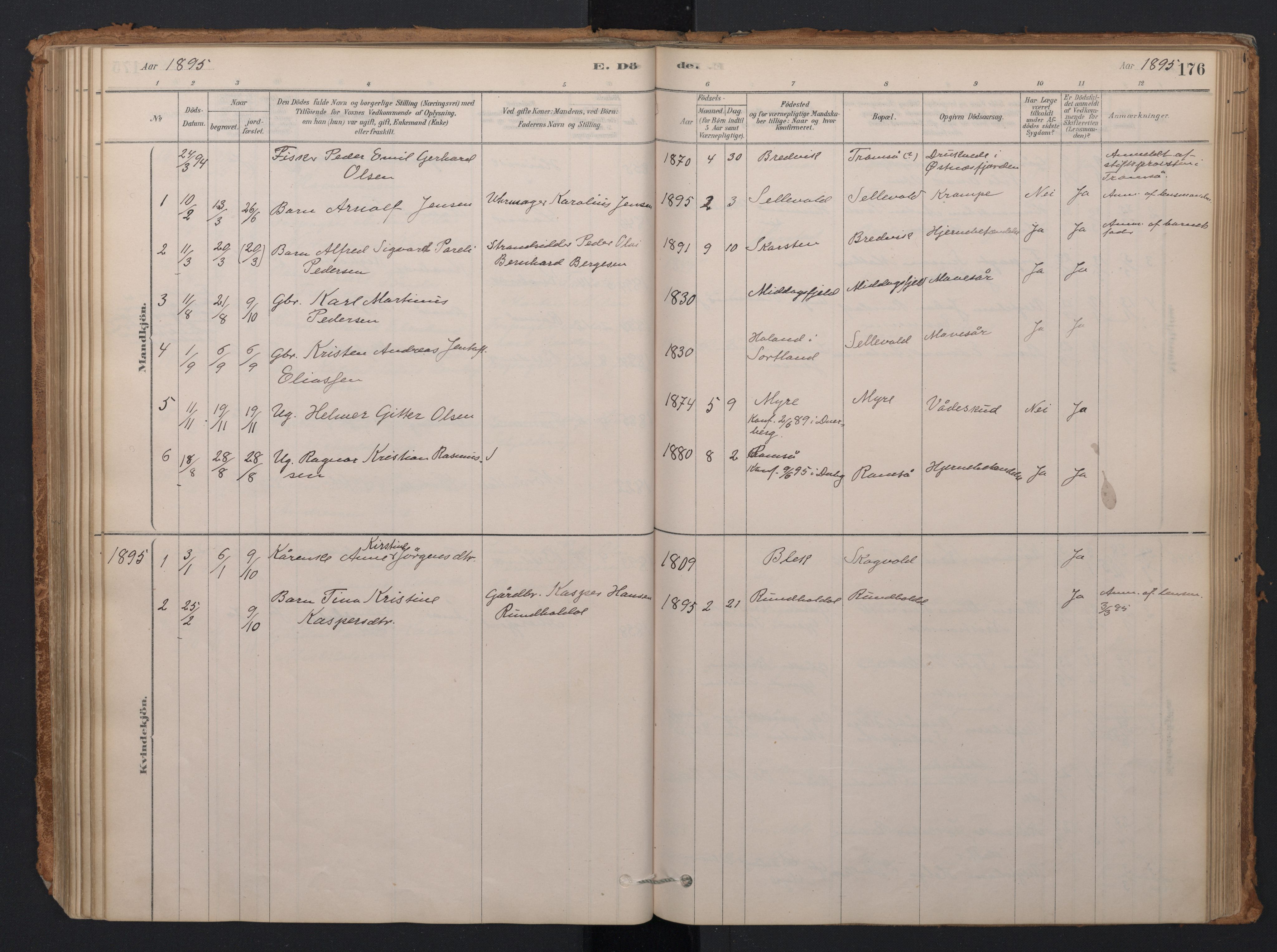 Ministerialprotokoller, klokkerbøker og fødselsregistre - Nordland, AV/SAT-A-1459/897/L1399: Parish register (official) no. 897A06, 1881-1896, p. 176