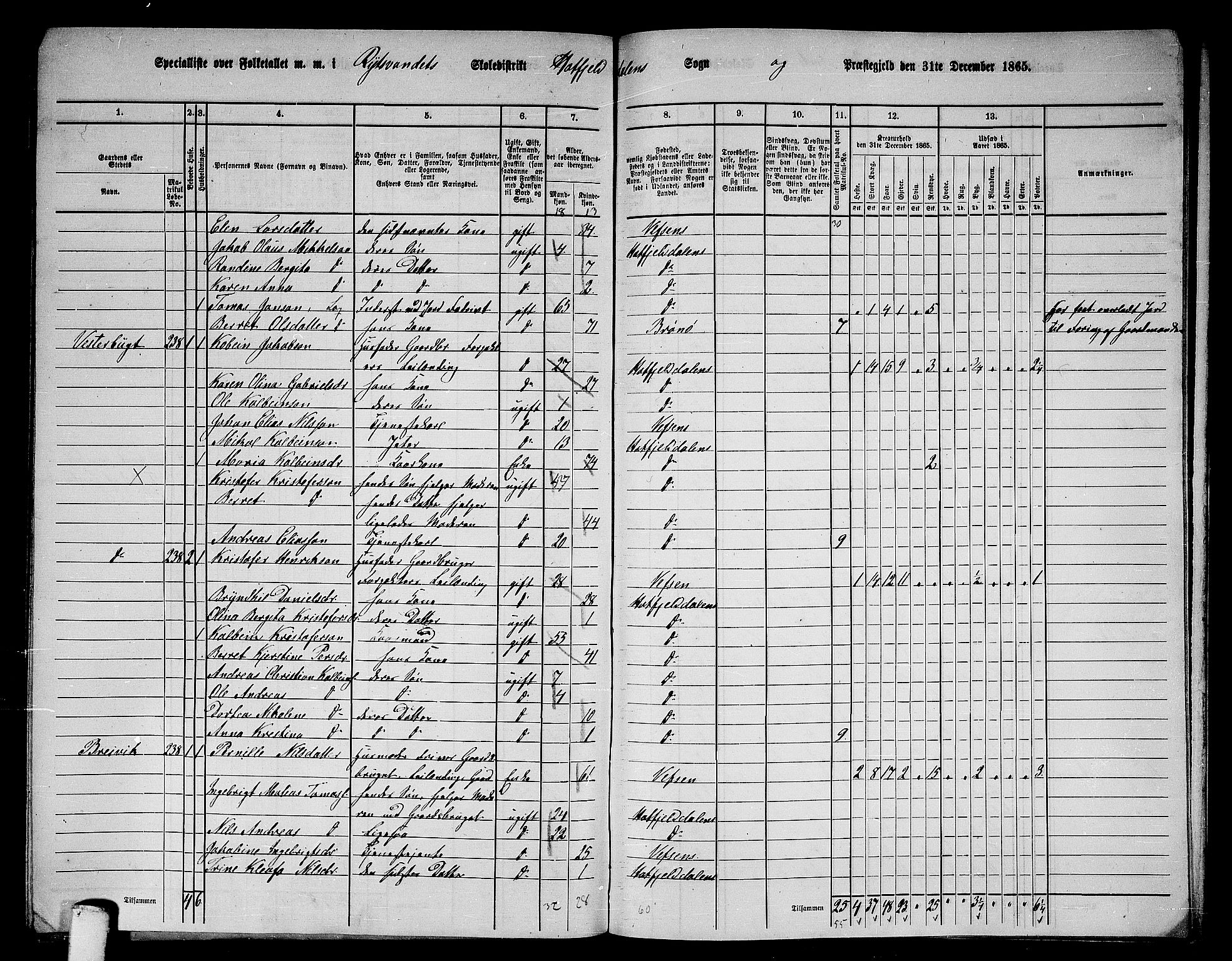 RA, 1865 census for Hattfjelldal, 1865, p. 38