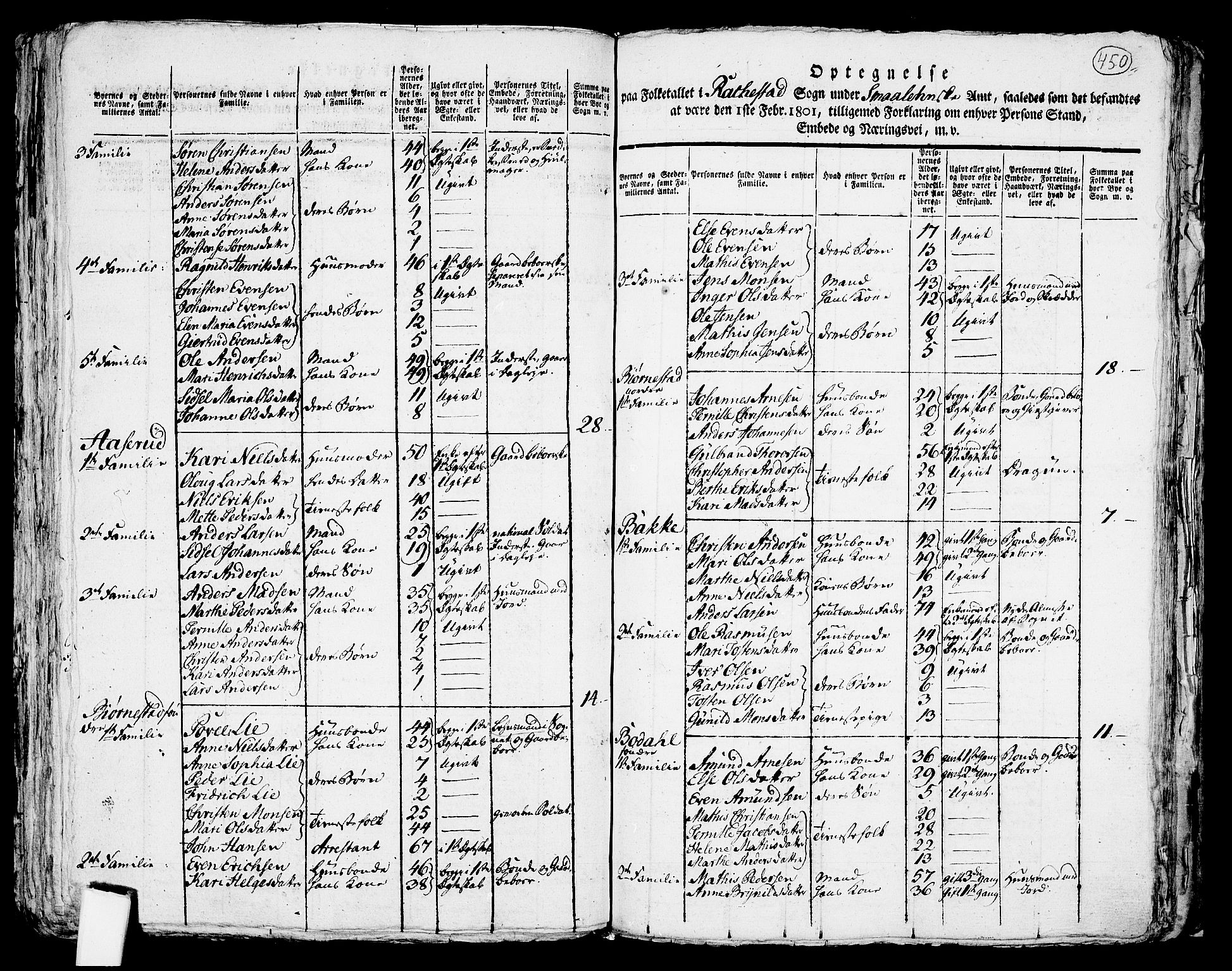 RA, 1801 census for 0128P Rakkestad, 1801, p. 449b-450a