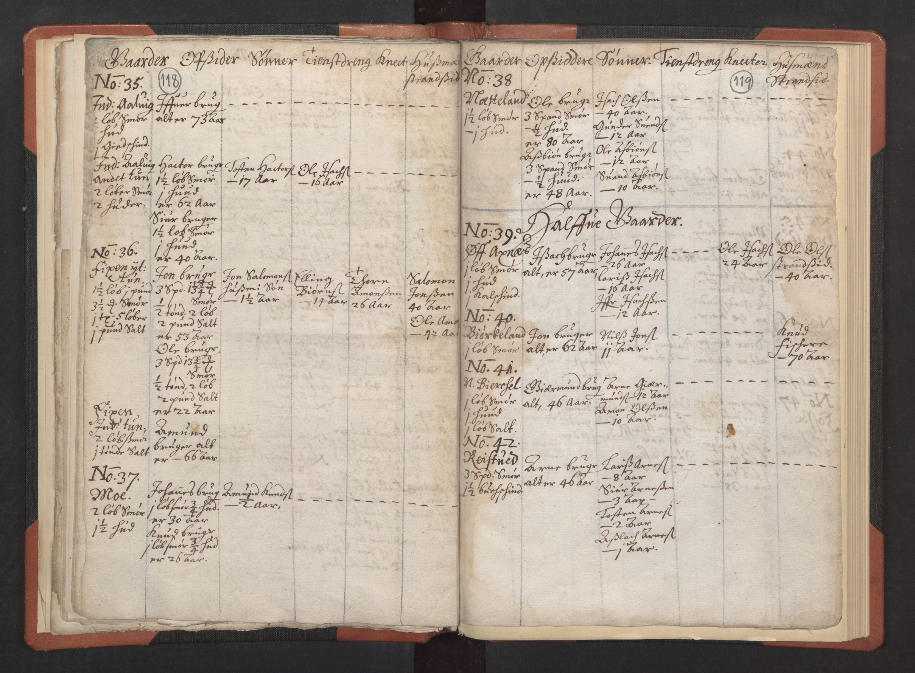 RA, Vicar's Census 1664-1666, no. 21: Hardanger deanery, 1664-1666, p. 118-119