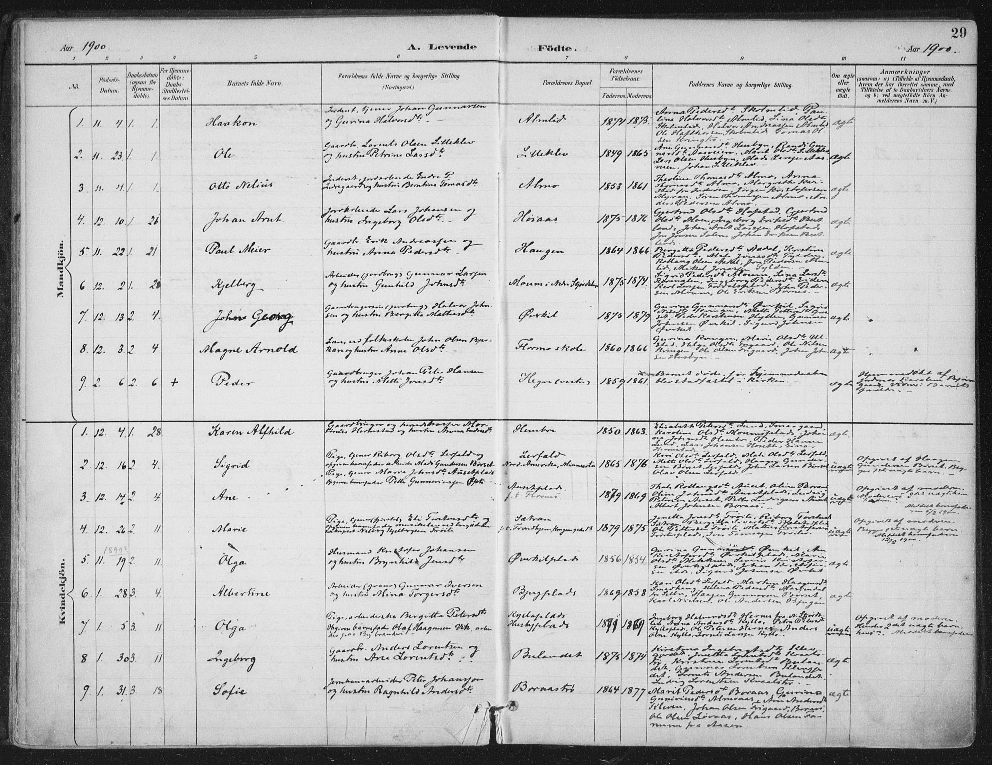 Ministerialprotokoller, klokkerbøker og fødselsregistre - Nord-Trøndelag, SAT/A-1458/703/L0031: Parish register (official) no. 703A04, 1893-1914, p. 29