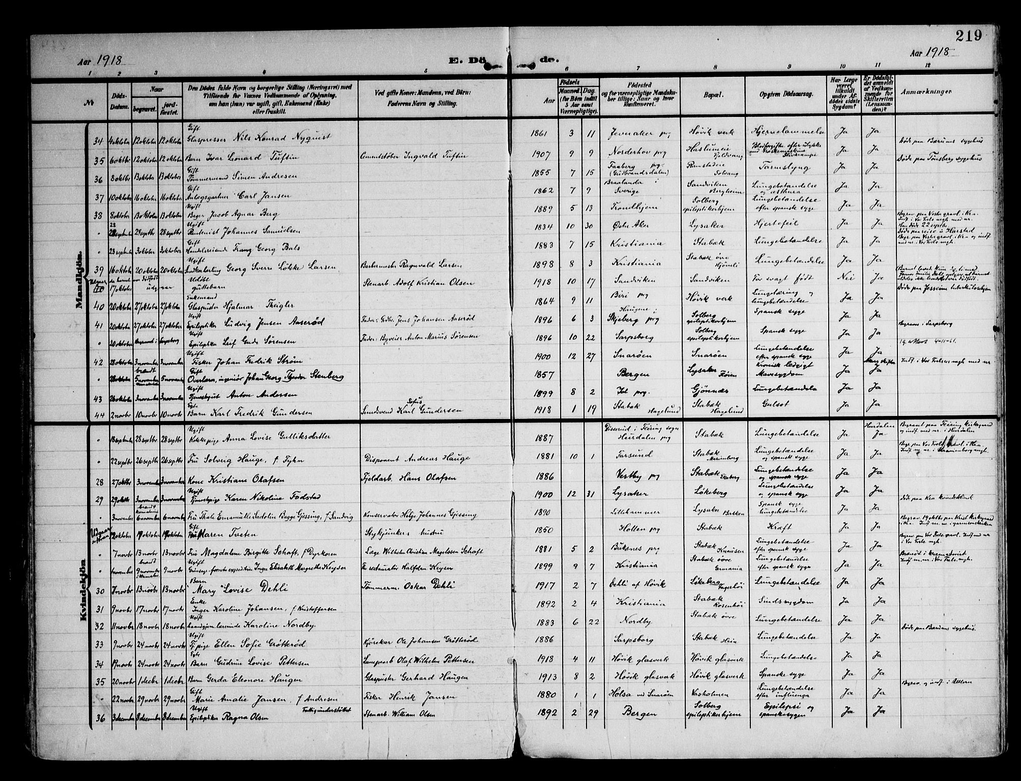 Østre Bærum prestekontor Kirkebøker, AV/SAO-A-10887/F/Fa/L0001: Parish register (official) no. 1, 1905-1924, p. 219