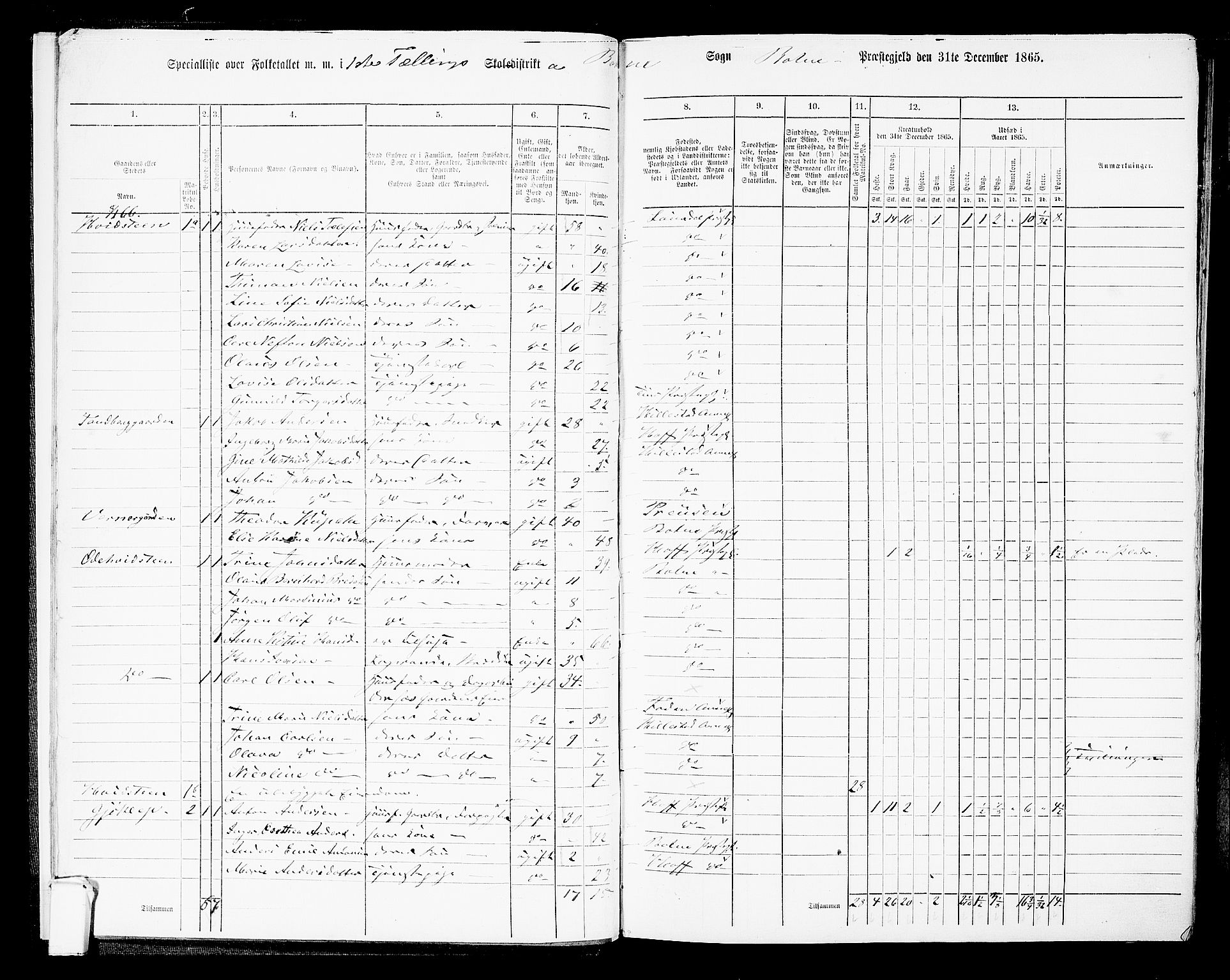RA, 1865 census for Botne/Botne og Hillestad, 1865, p. 12