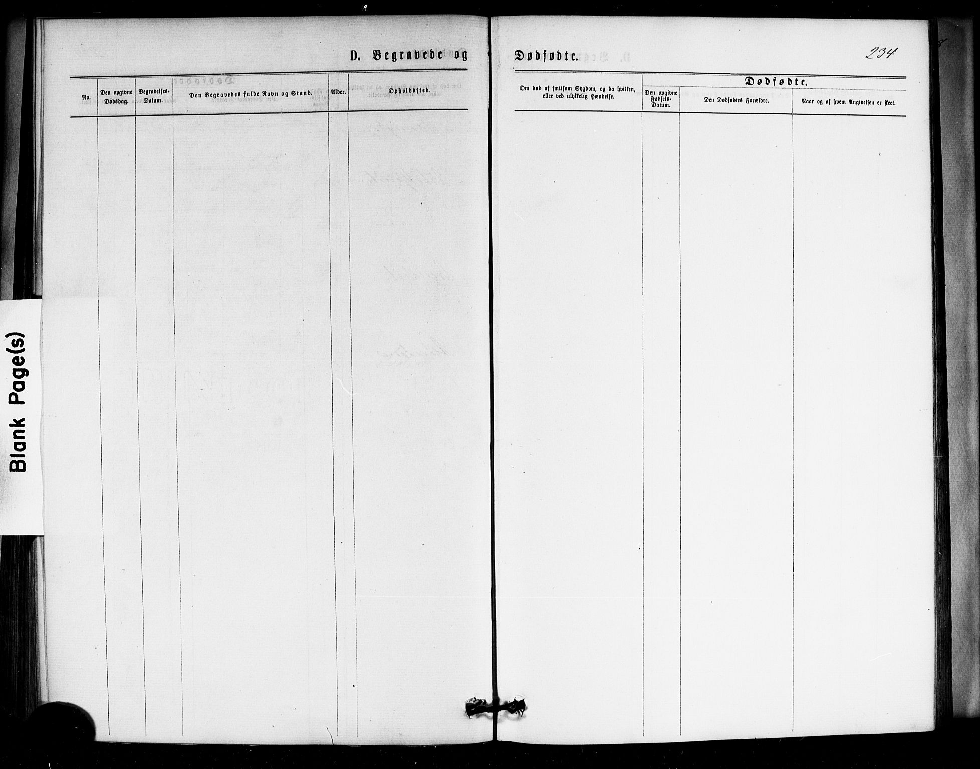 Strømm kirkebøker, AV/SAKO-A-322/F/Fa/L0002: Parish register (official) no. I 2, 1870-1877, p. 234