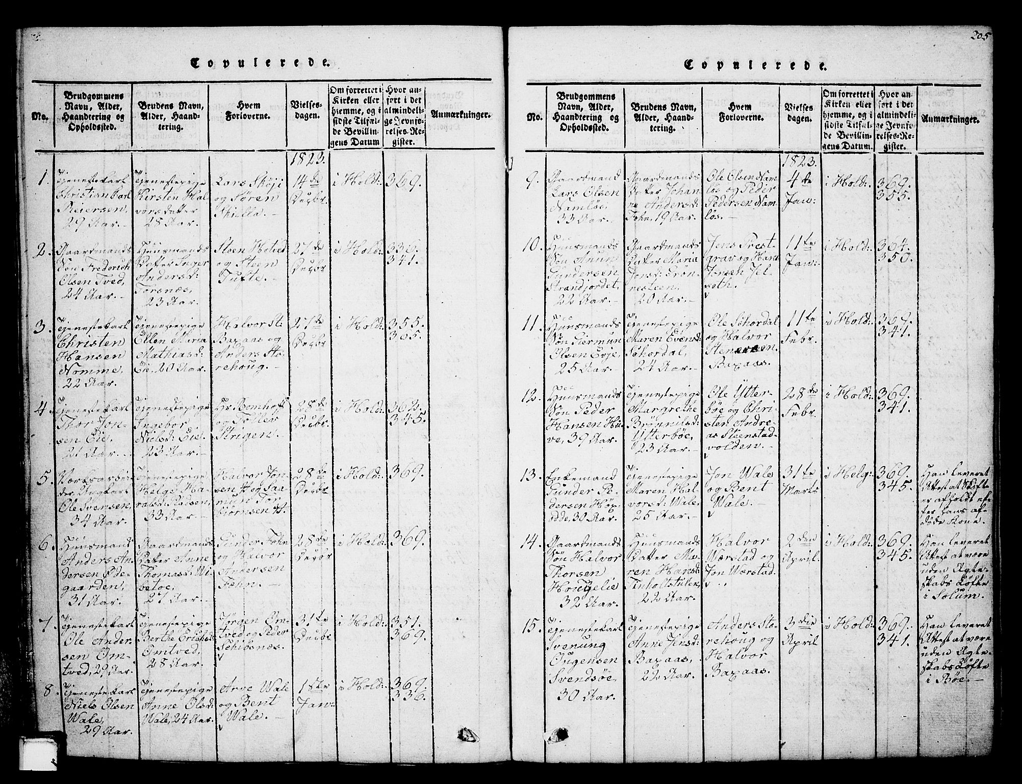 Holla kirkebøker, SAKO/A-272/G/Ga/L0001: Parish register (copy) no. I 1, 1814-1830, p. 205