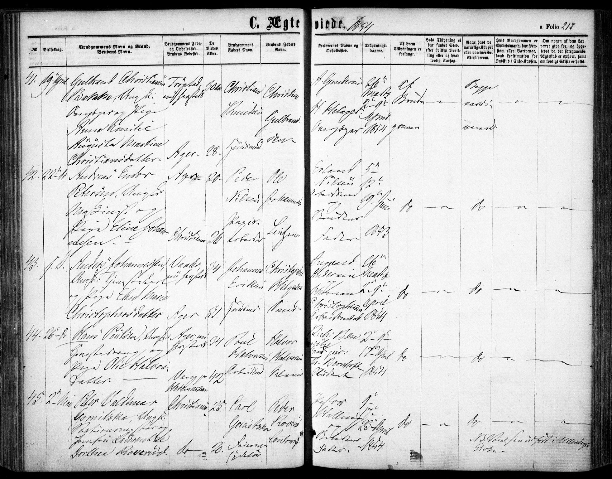 Oslo domkirke Kirkebøker, SAO/A-10752/F/Fa/L0020: Parish register (official) no. 20, 1848-1865, p. 217