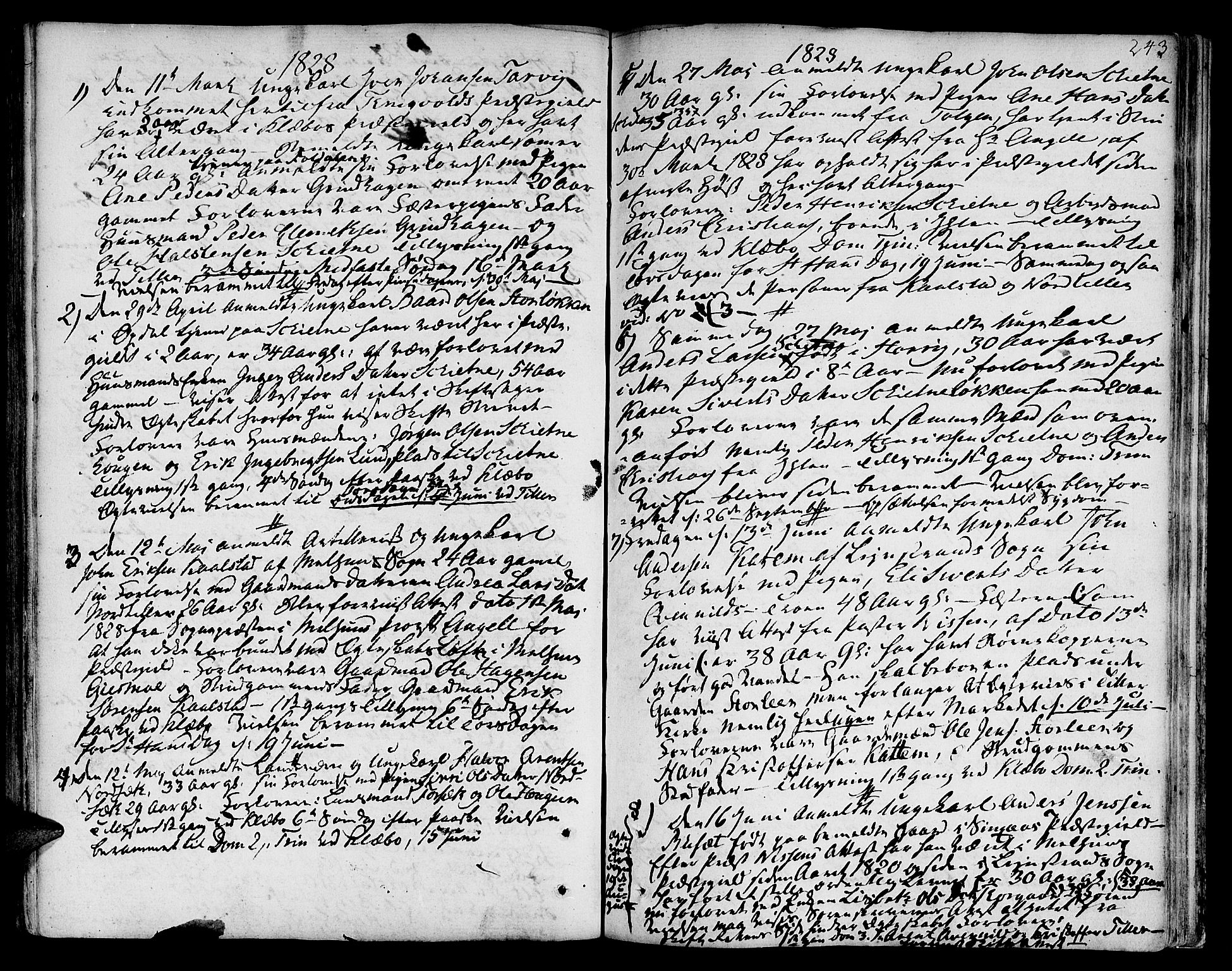 Ministerialprotokoller, klokkerbøker og fødselsregistre - Sør-Trøndelag, SAT/A-1456/618/L0438: Parish register (official) no. 618A03, 1783-1815, p. 243