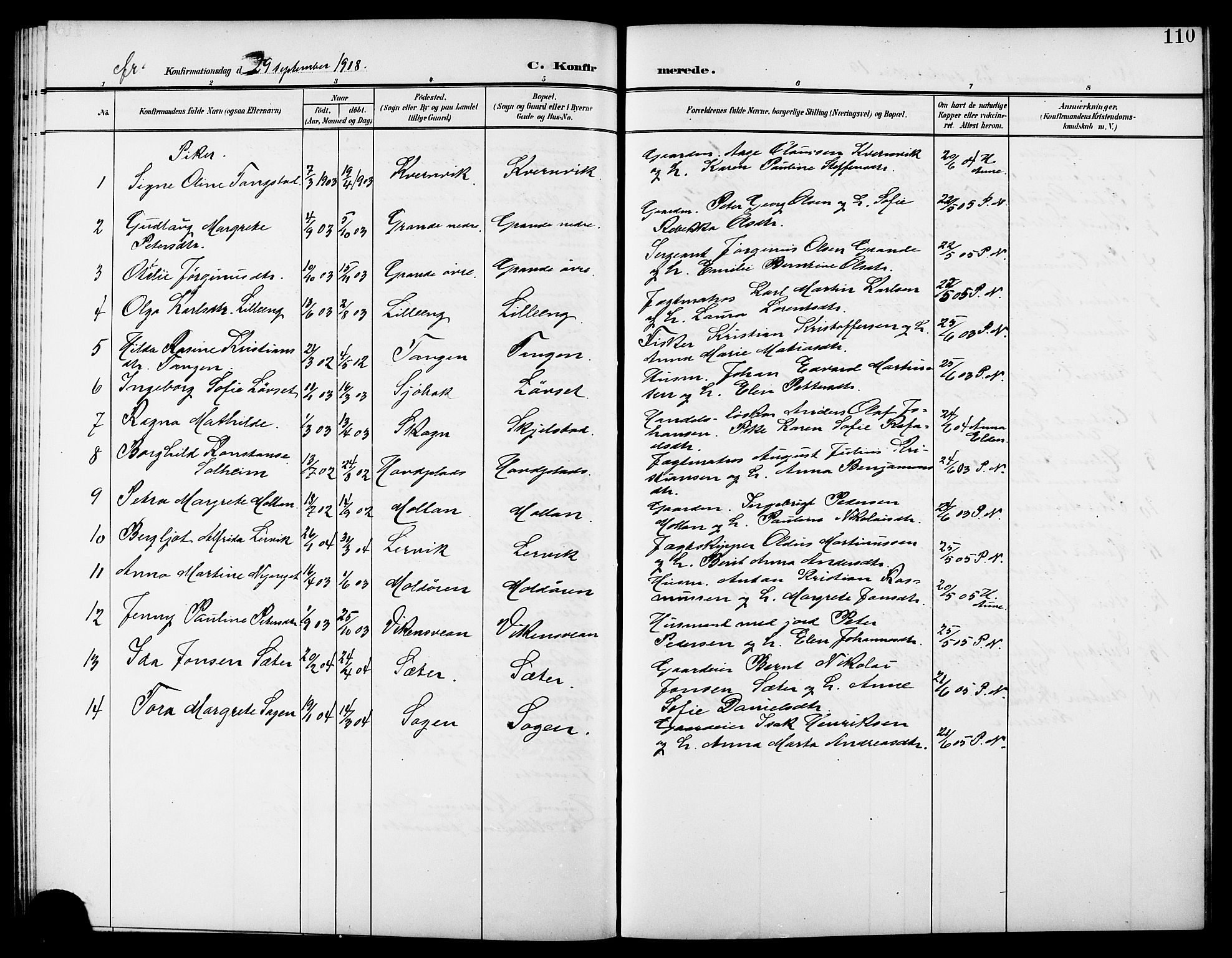 Ministerialprotokoller, klokkerbøker og fødselsregistre - Nord-Trøndelag, SAT/A-1458/744/L0424: Parish register (copy) no. 744C03, 1906-1923, p. 110