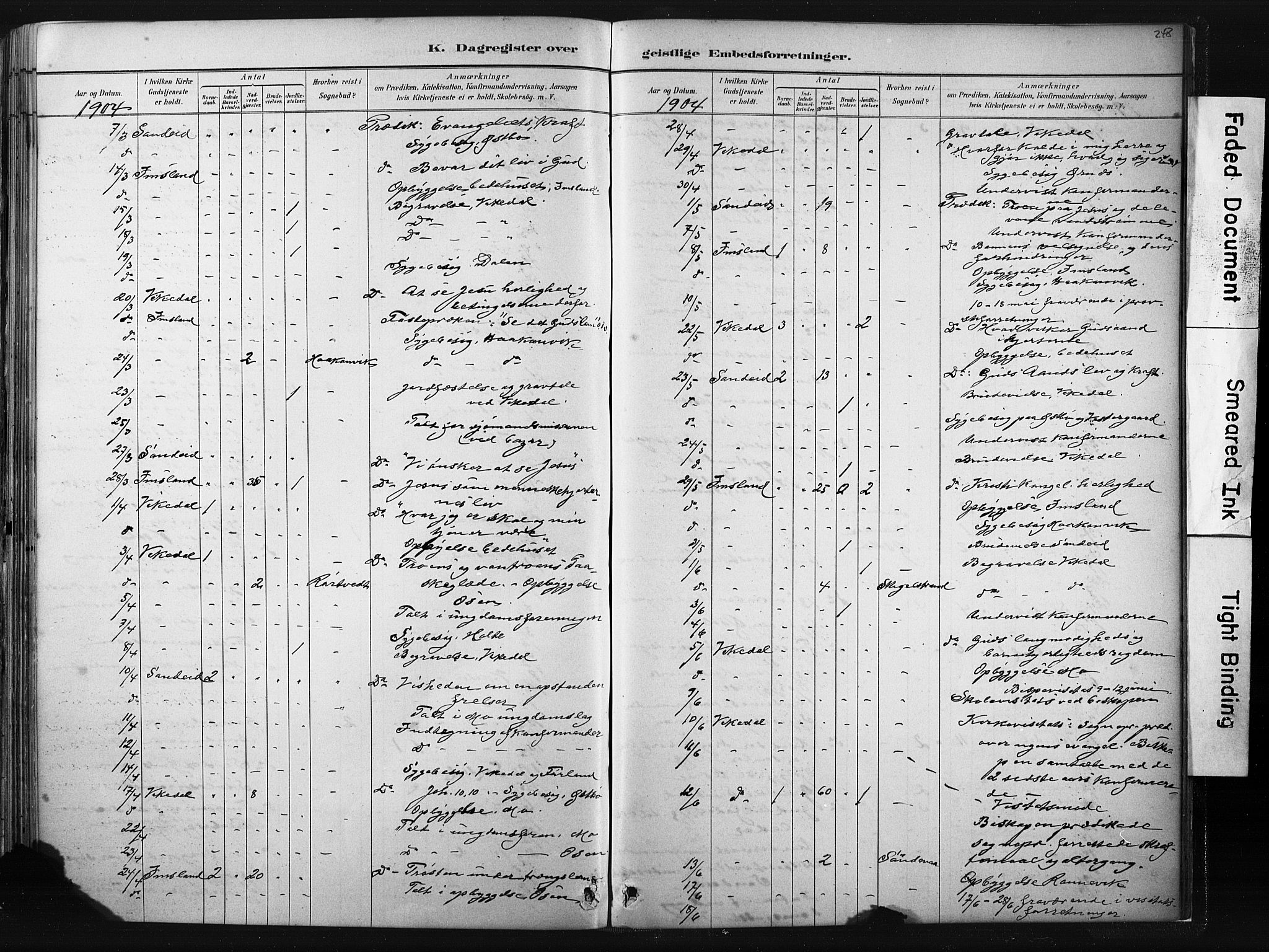 Vikedal sokneprestkontor, AV/SAST-A-101840/01/IV: Parish register (official) no. A 10, 1884-1907, p. 248