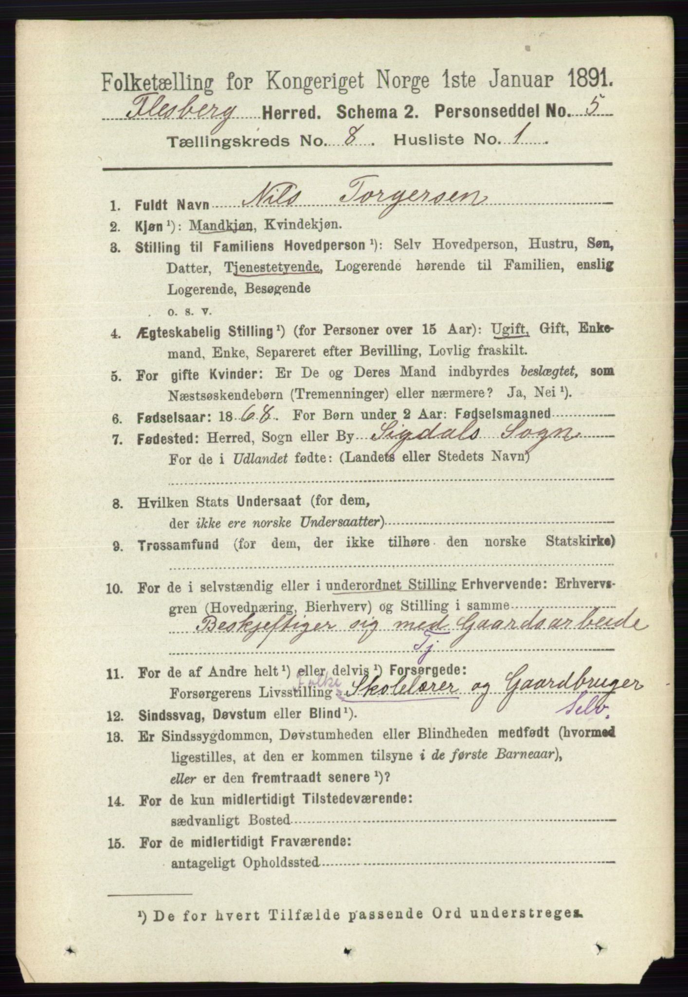 RA, 1891 census for 0631 Flesberg, 1891, p. 1371