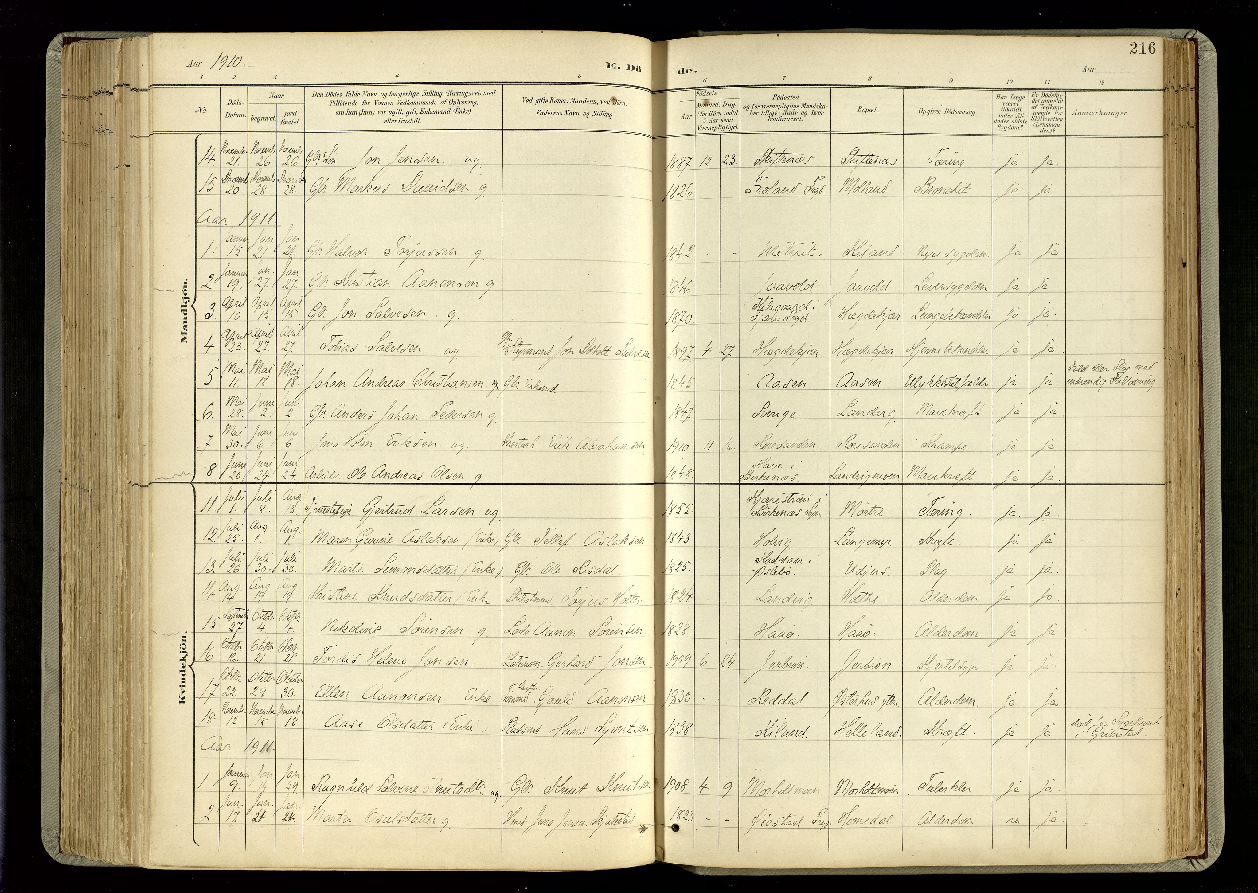 Hommedal sokneprestkontor, SAK/1111-0023/F/Fa/Fab/L0007: Parish register (official) no. A 7, 1898-1924, p. 216