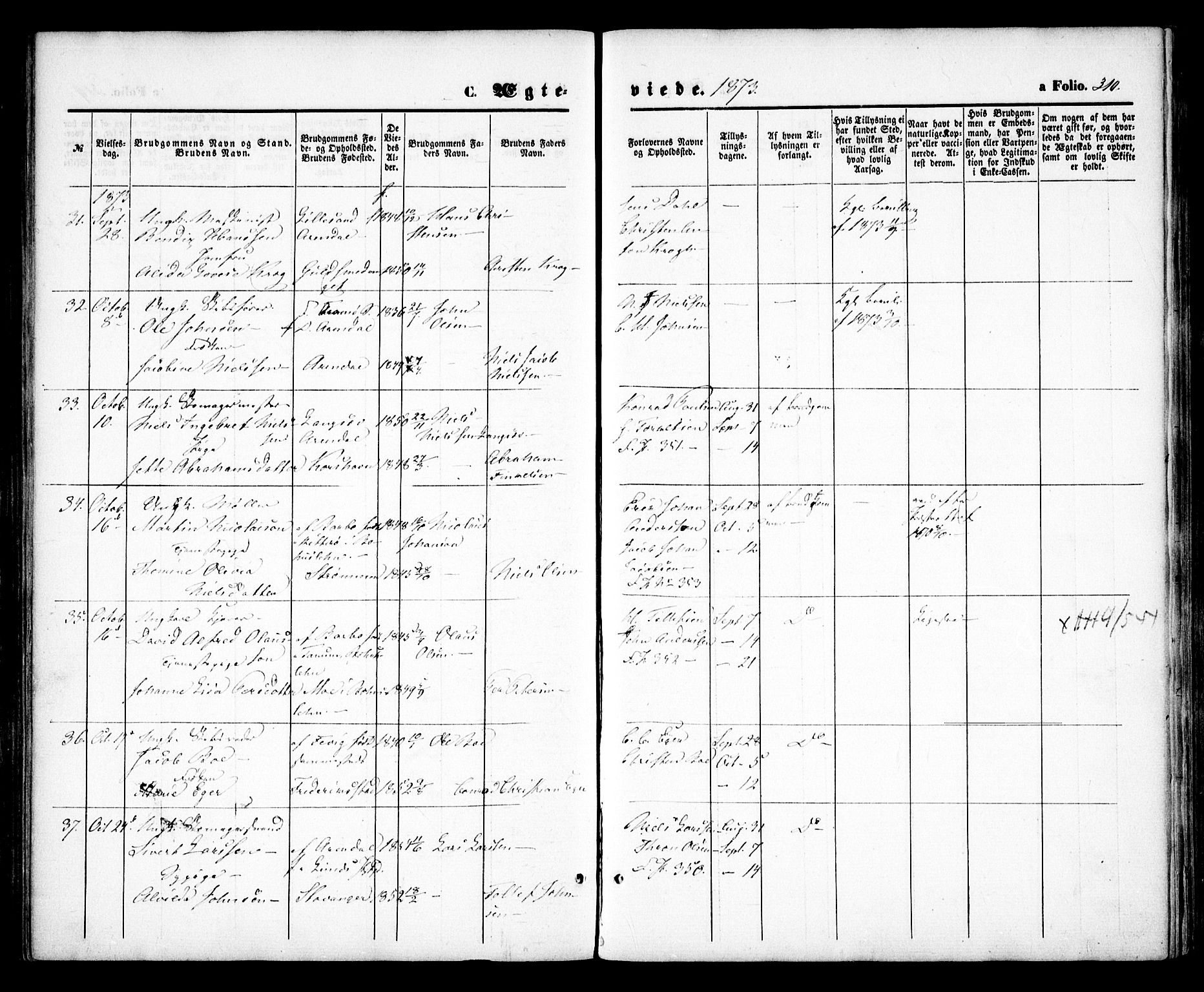 Arendal sokneprestkontor, Trefoldighet, SAK/1111-0040/F/Fa/L0007: Parish register (official) no. A 7, 1868-1878, p. 310