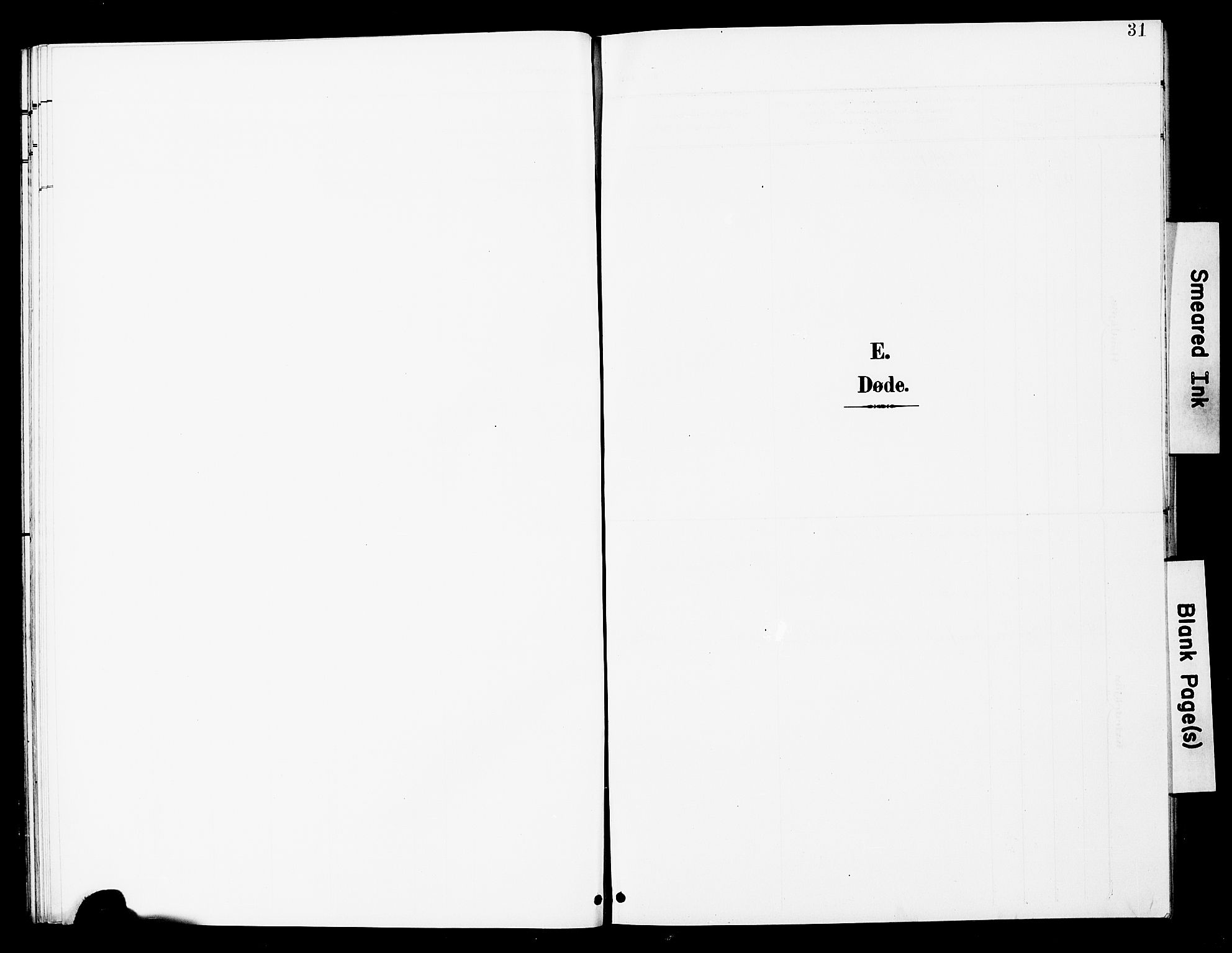 Ministerialprotokoller, klokkerbøker og fødselsregistre - Nord-Trøndelag, SAT/A-1458/748/L0464: Parish register (official) no. 748A01, 1900-1908, p. 31