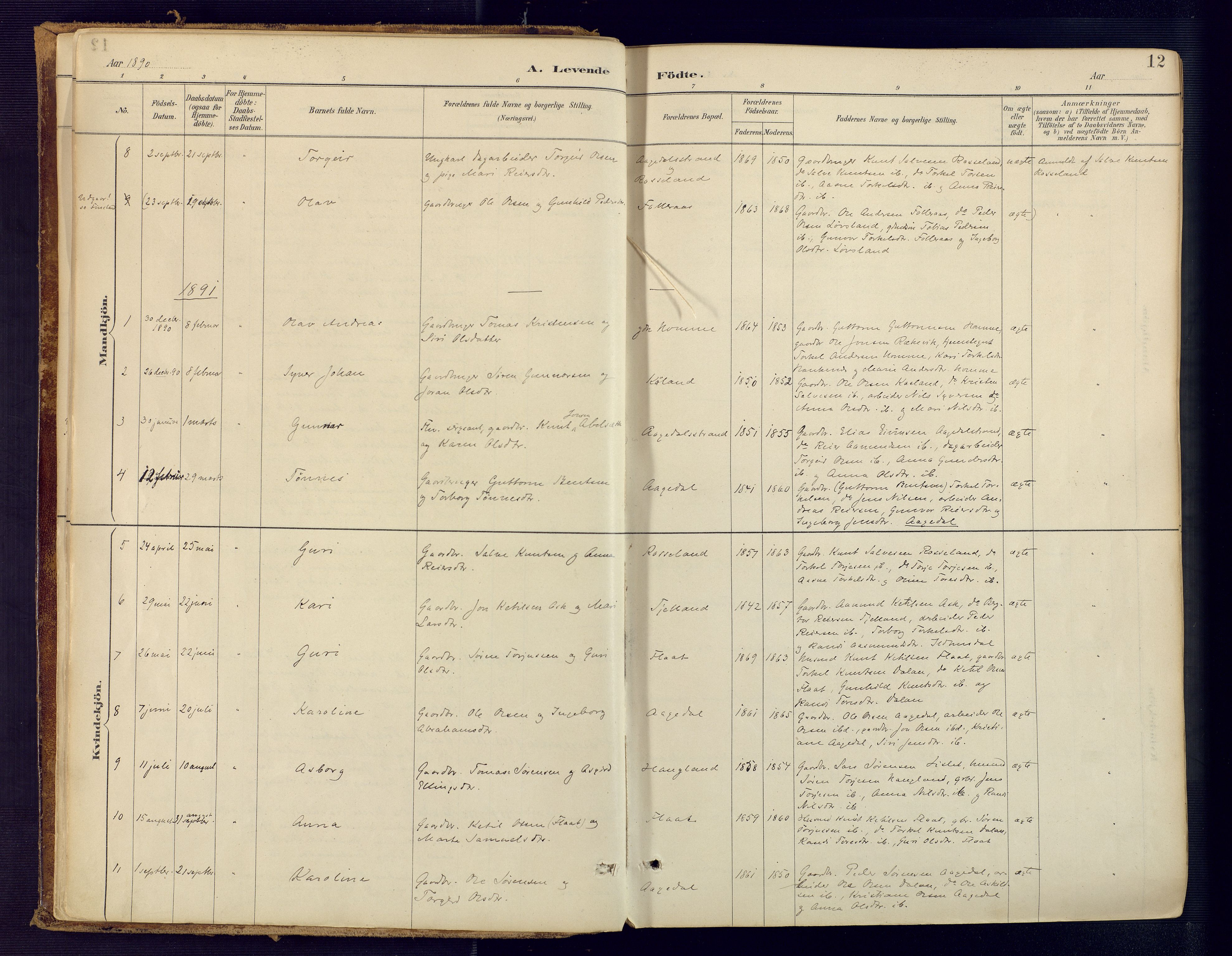 Bjelland sokneprestkontor, SAK/1111-0005/F/Fa/Faa/L0004: Parish register (official) no. A 4, 1887-1923, p. 12