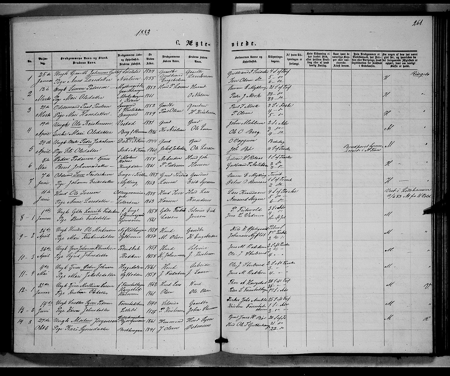 Ringebu prestekontor, SAH/PREST-082/H/Ha/Hab/L0006: Parish register (copy) no. 6, 1880-1898, p. 261