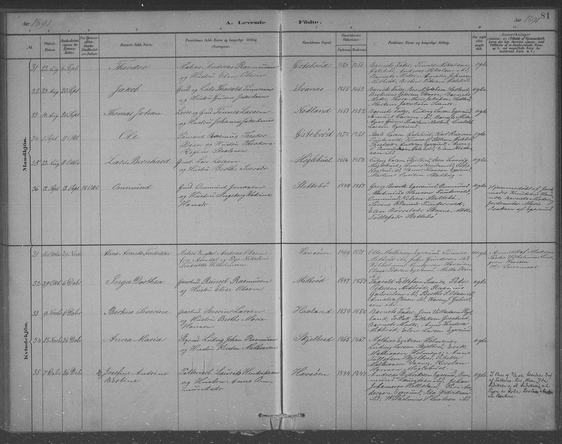 Eigersund sokneprestkontor, AV/SAST-A-101807/S09/L0007: Parish register (copy) no. B 7, 1882-1892, p. 81