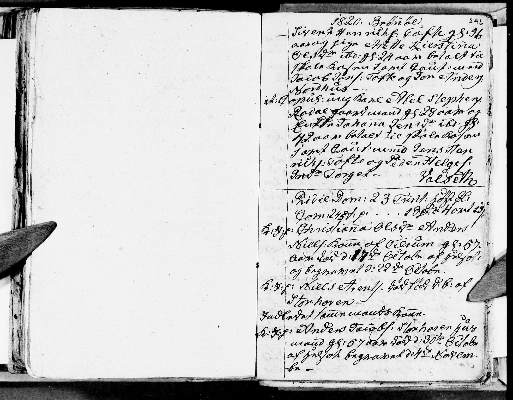 Ministerialprotokoller, klokkerbøker og fødselsregistre - Nordland, AV/SAT-A-1459/813/L0209: Parish register (copy) no. 813C01, 1803-1821, p. 246