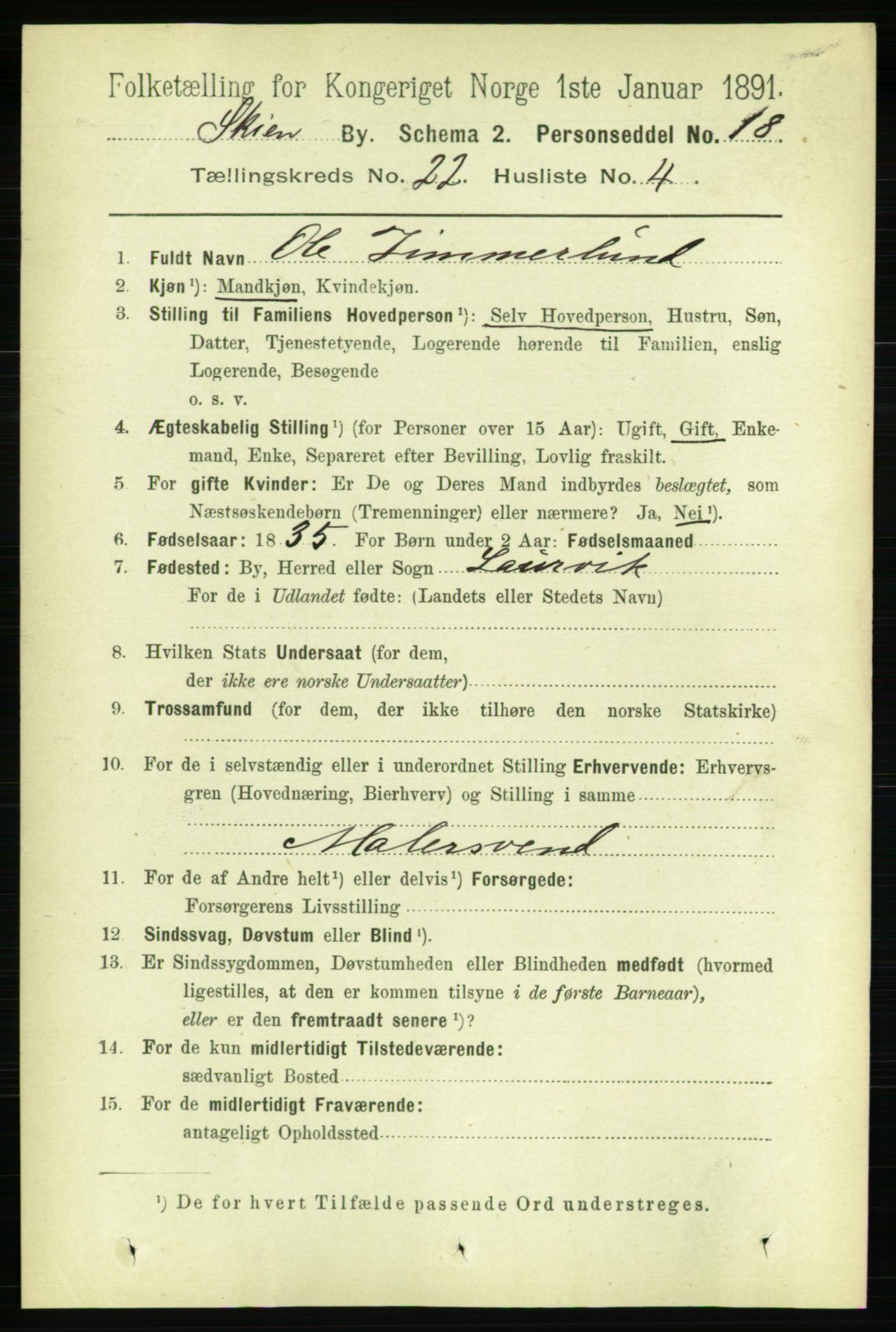 RA, 1891 census for 0806 Skien, 1891, p. 5707