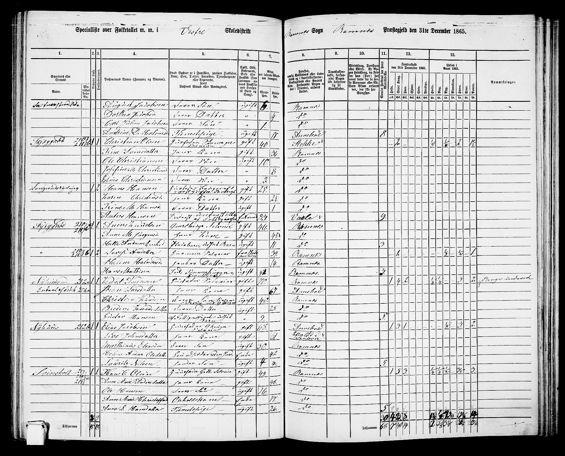 RA, 1865 census for Ramnes, 1865, p. 79