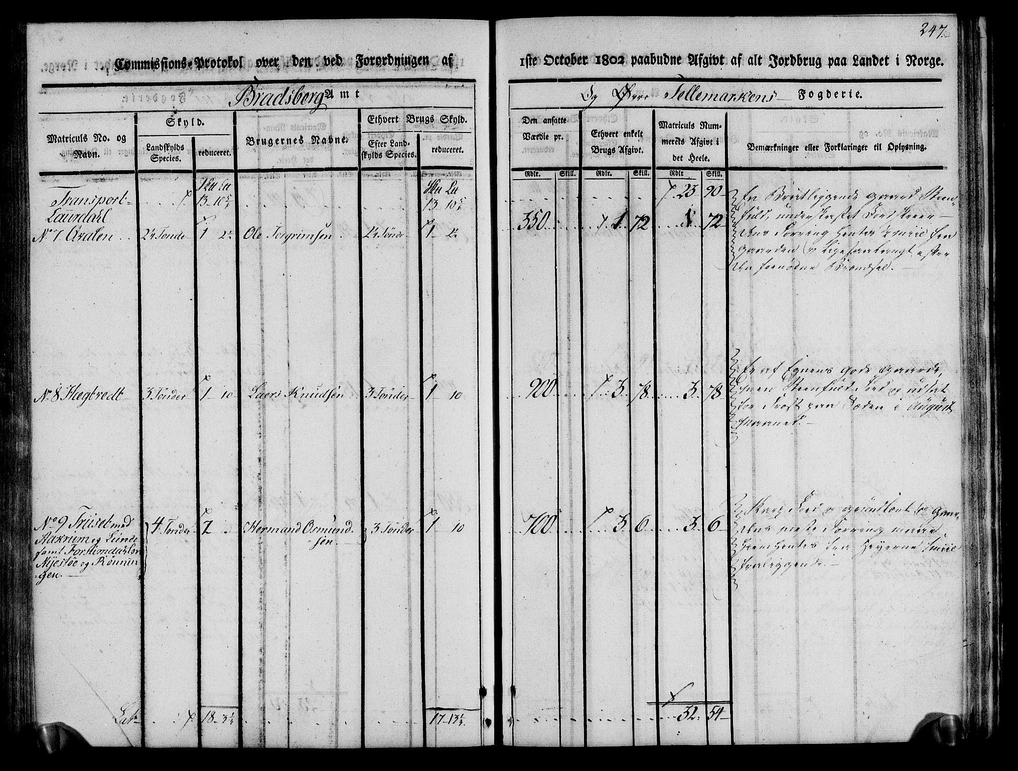 Rentekammeret inntil 1814, Realistisk ordnet avdeling, AV/RA-EA-4070/N/Ne/Nea/L0075: Øvre Telemarken fogderi. Kommisjonsprotokoll for fogderiets vestre del - Kviteseid, Vinje, Moland [):Fyresdal] og Lårdal prestegjeld., 1803, p. 249