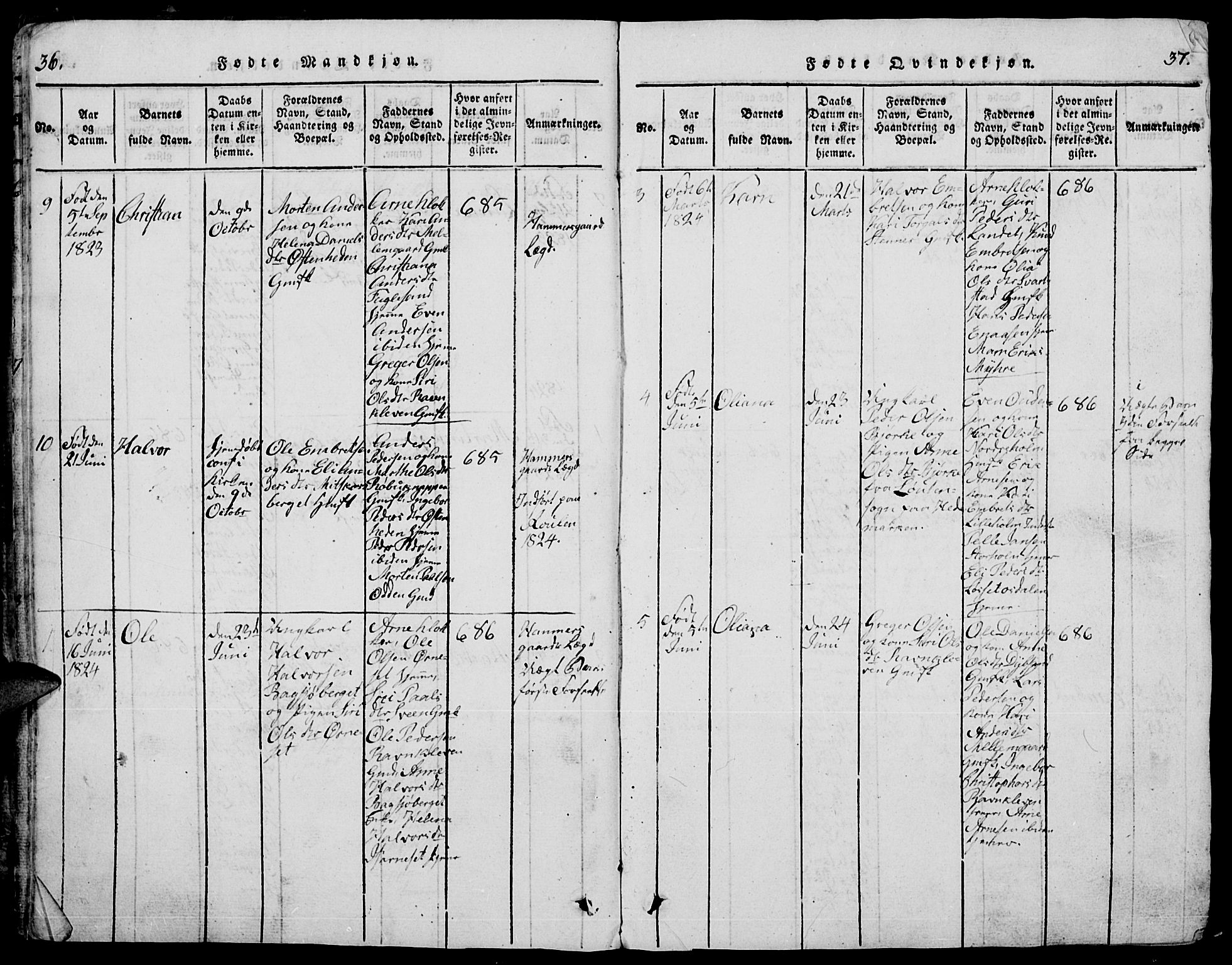Trysil prestekontor, SAH/PREST-046/H/Ha/Hab/L0005: Parish register (copy) no. 5, 1814-1877, p. 36-37