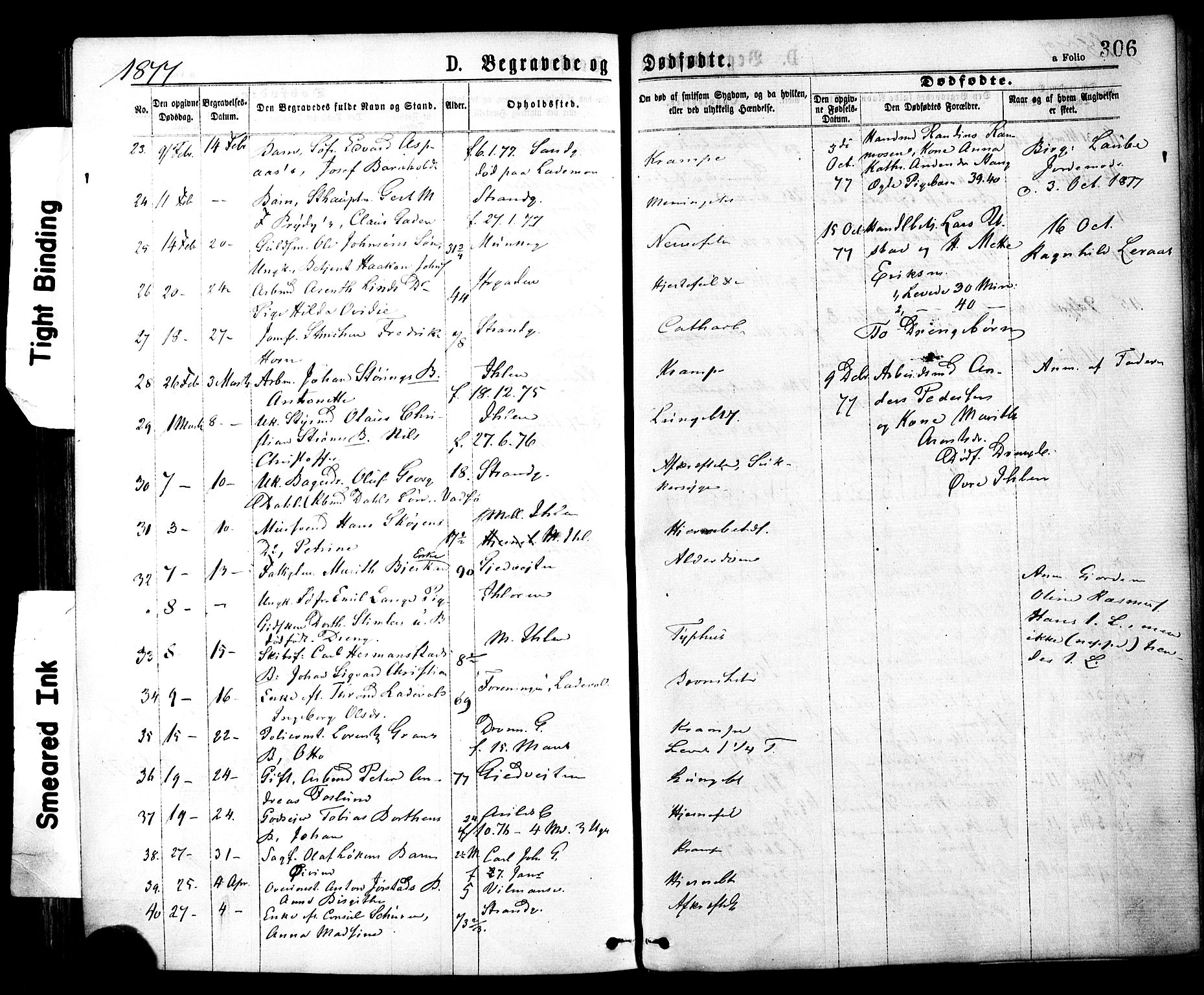 Ministerialprotokoller, klokkerbøker og fødselsregistre - Sør-Trøndelag, AV/SAT-A-1456/602/L0118: Parish register (official) no. 602A16, 1873-1879, p. 306