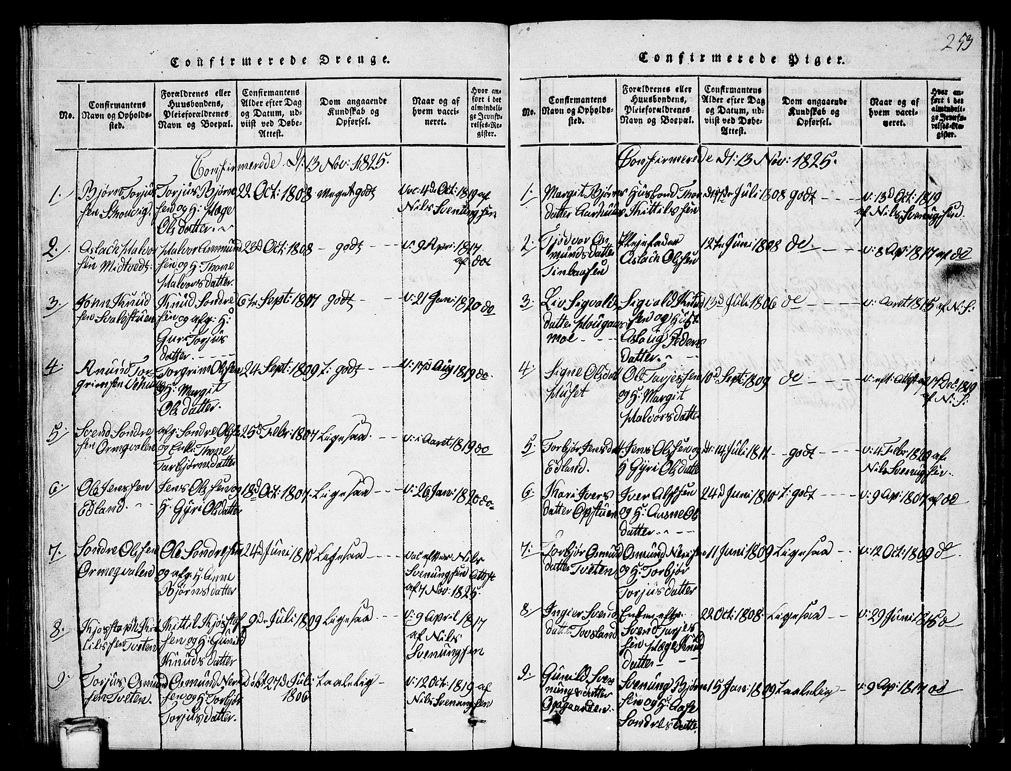 Vinje kirkebøker, SAKO/A-312/G/Ga/L0001: Parish register (copy) no. I 1, 1814-1843, p. 253