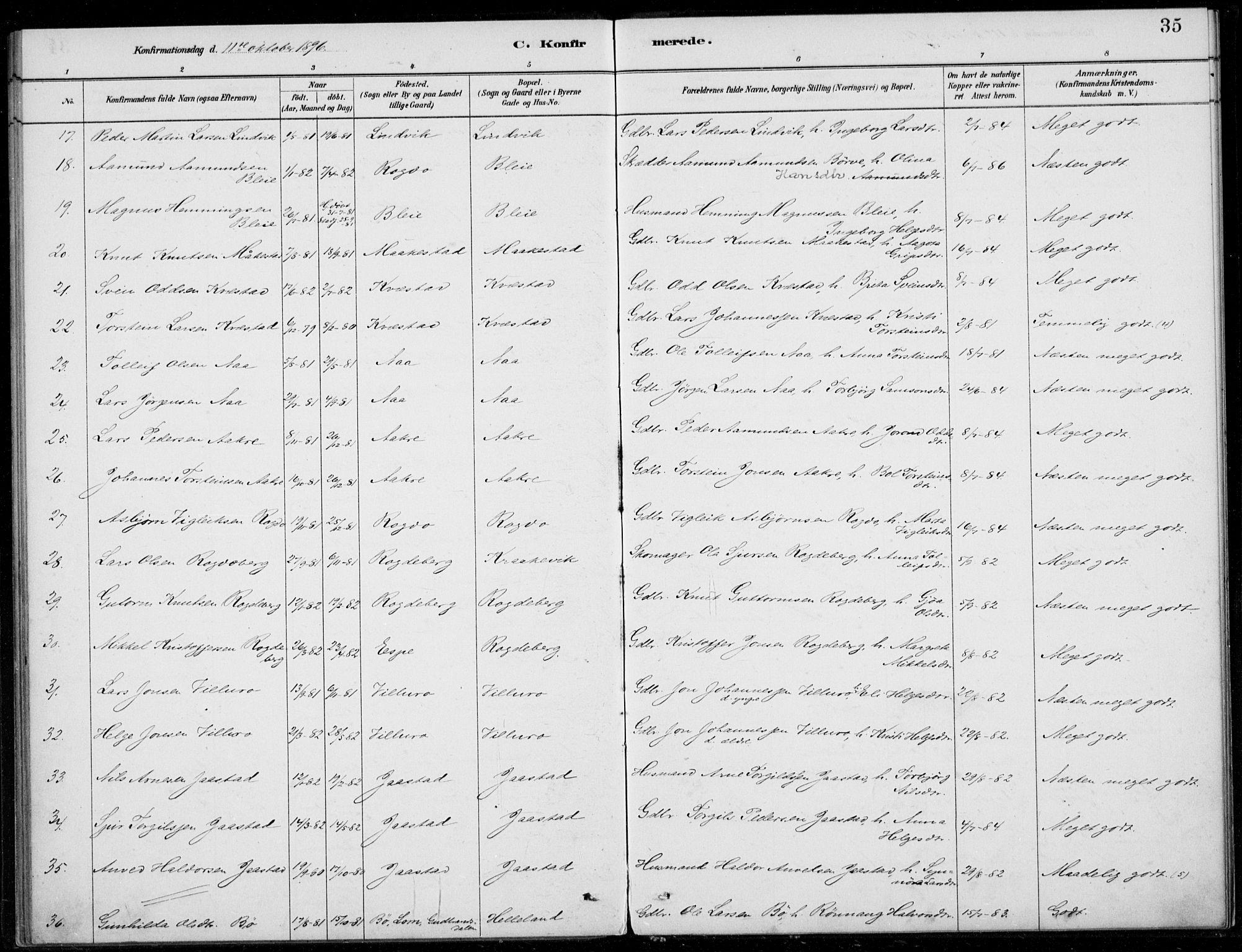 Ullensvang sokneprestembete, SAB/A-78701/H/Haa: Parish register (official) no. B  2, 1880-1910, p. 35